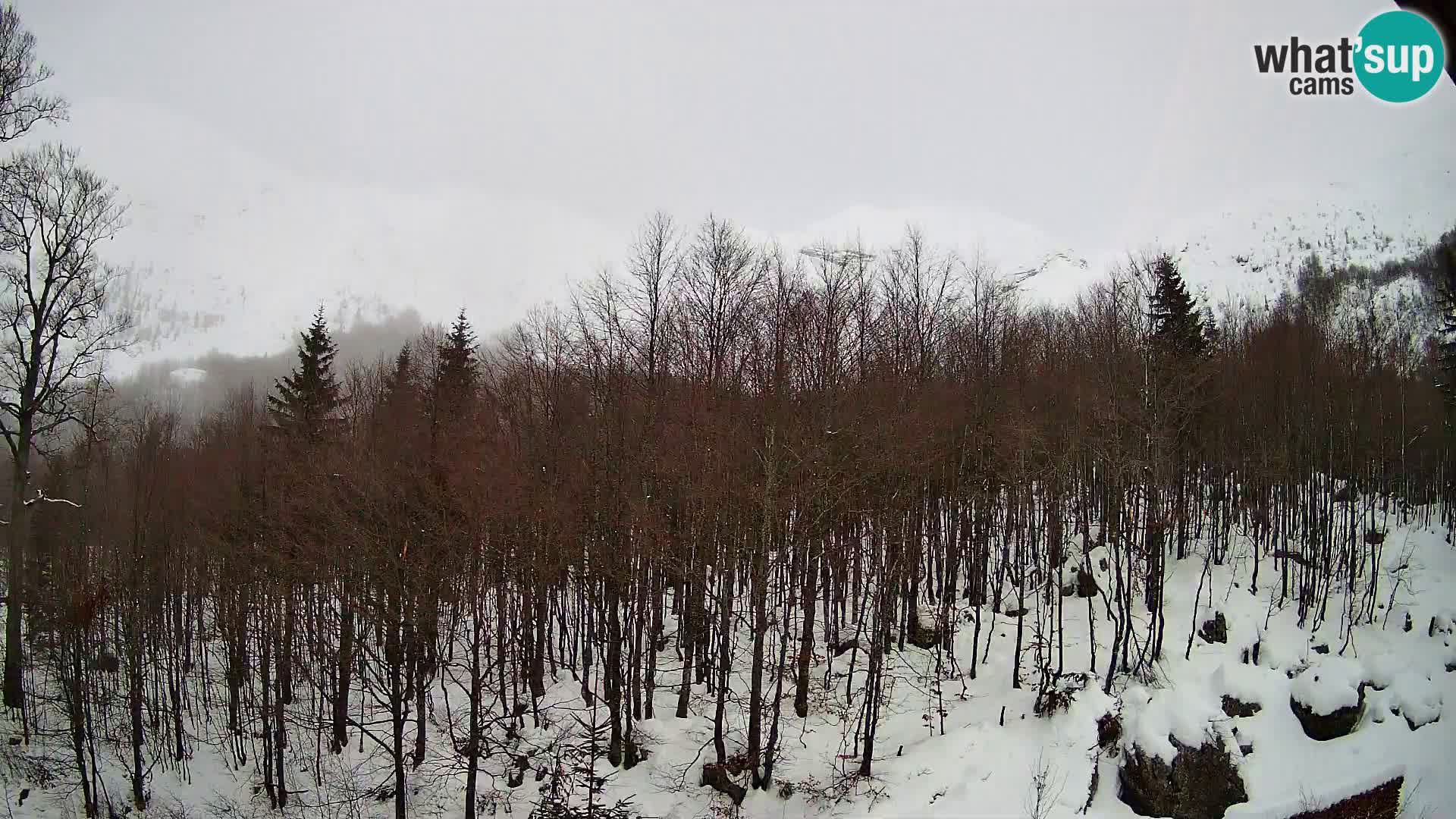 PLANINA RAZOR web kamera (1315) | pogled na Vogel i Globoko
