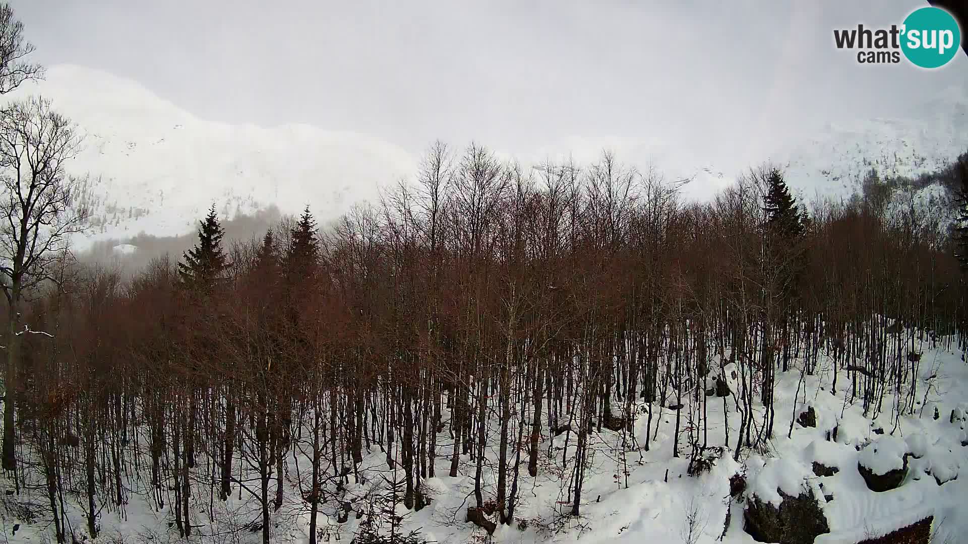Webcam PLANINA RAZOR (1315) | Blick auf Vogel und Globoko