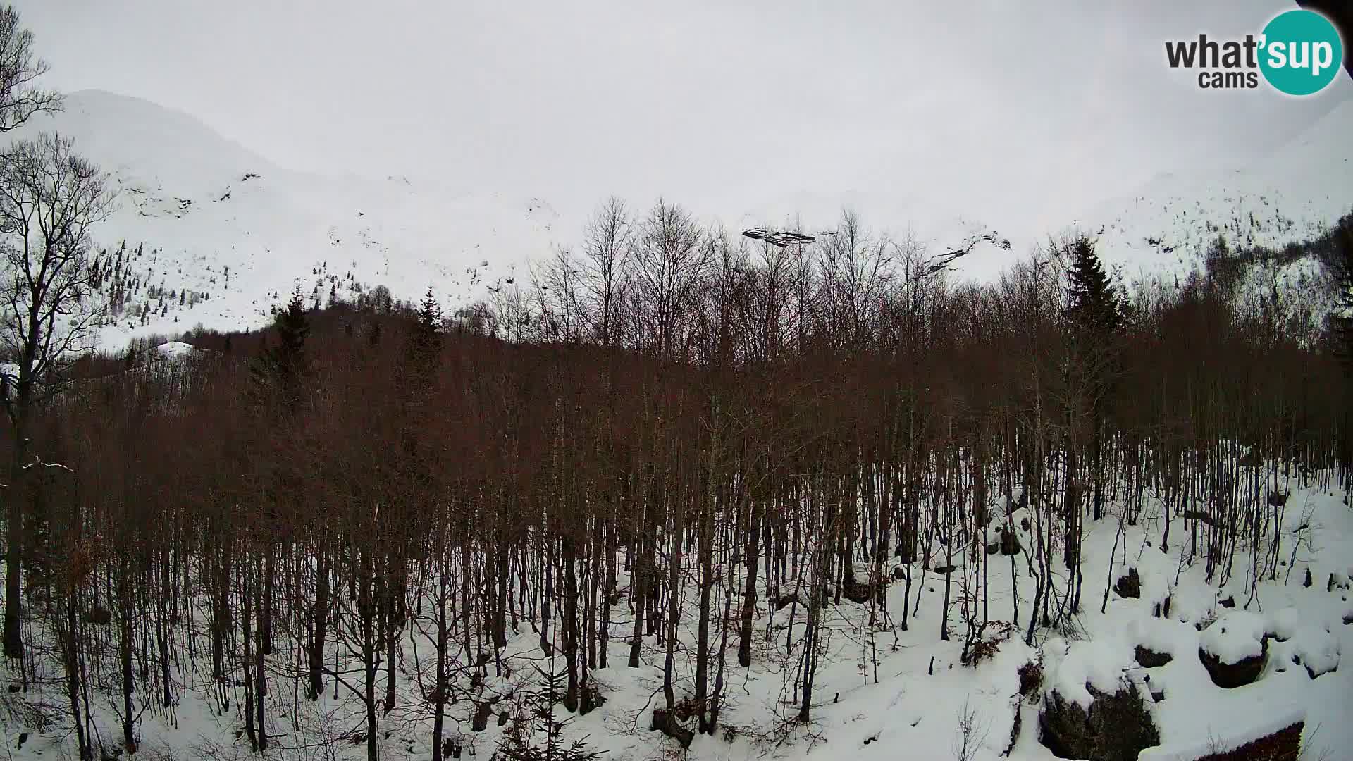 Cámara web PLANINA RAZOR (1315) | vista a Vogel y Globoko