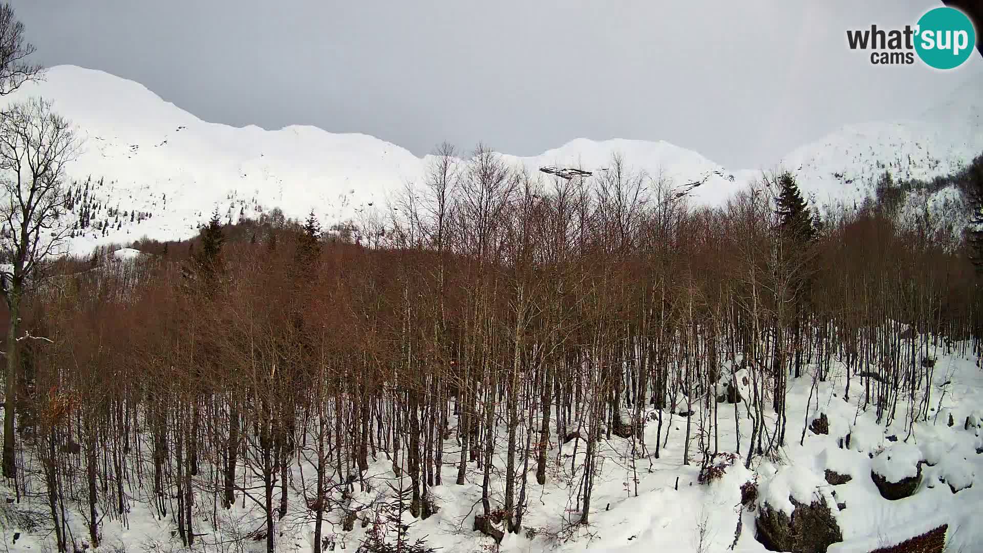 PLANINA RAZOR kamera (1315) | pogled na Vogel in Globoko