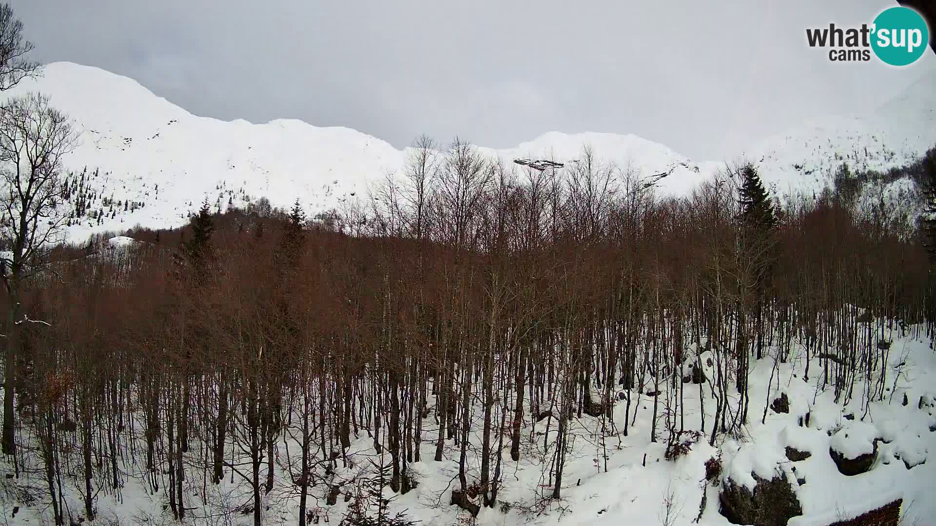 PLANINA RAZOR web kamera (1315) | pogled na Vogel i Globoko