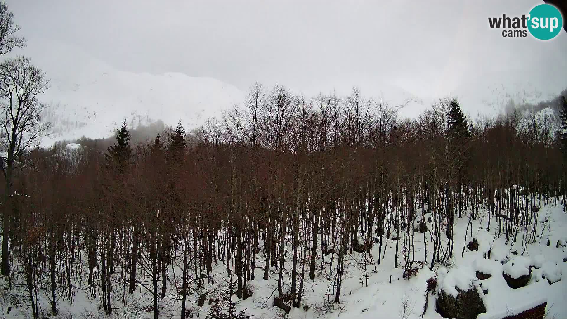 Webcam PLANINA RAZOR (1315) | Blick auf Vogel und Globoko