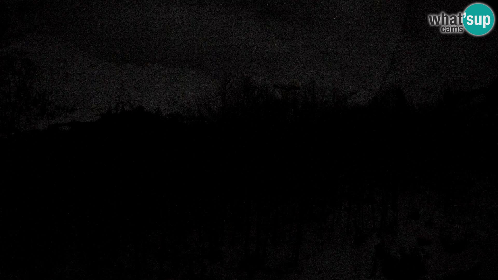 Livecam PLANINA RAZOR (1315) | vue sur Vogel et Globoko