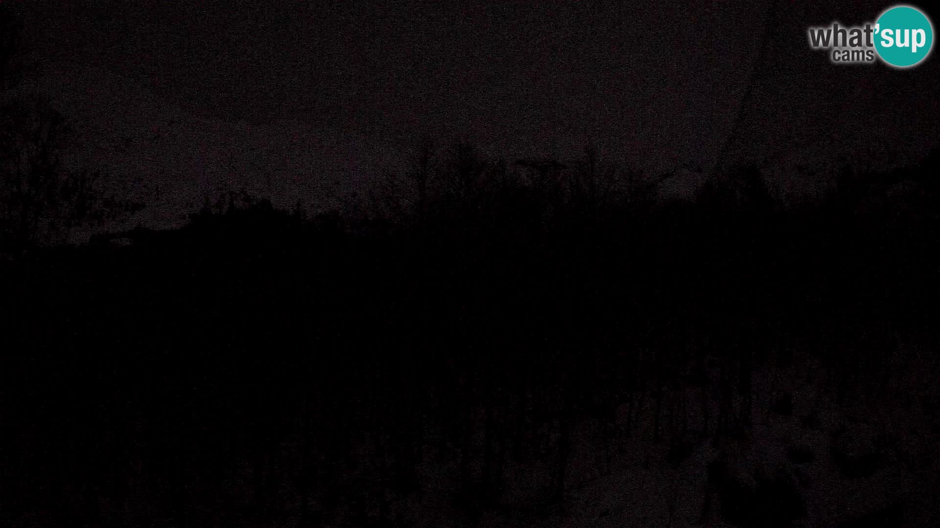 PLANINA RAZOR web kamera (1315) | pogled na Vogel i Globoko