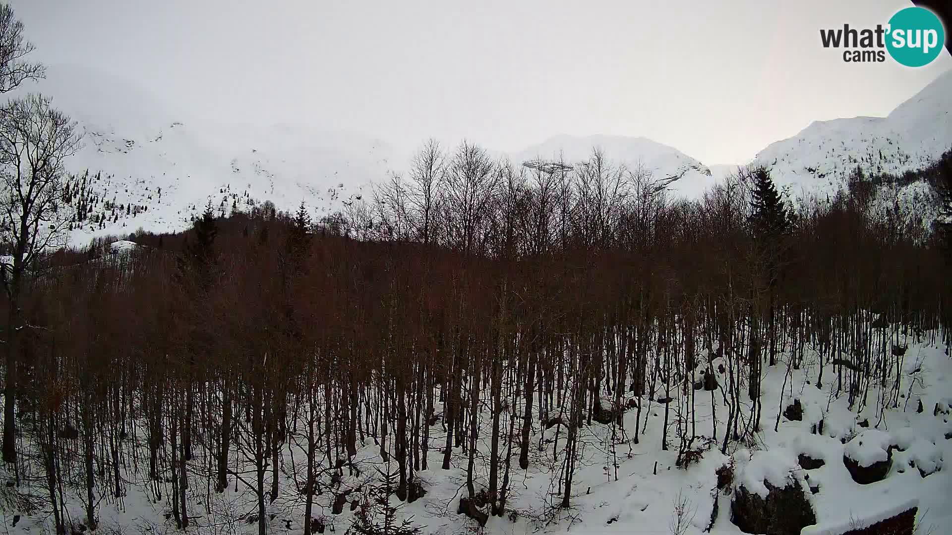 PLANINA RAZOR kamera (1315) | pogled na Vogel in Globoko