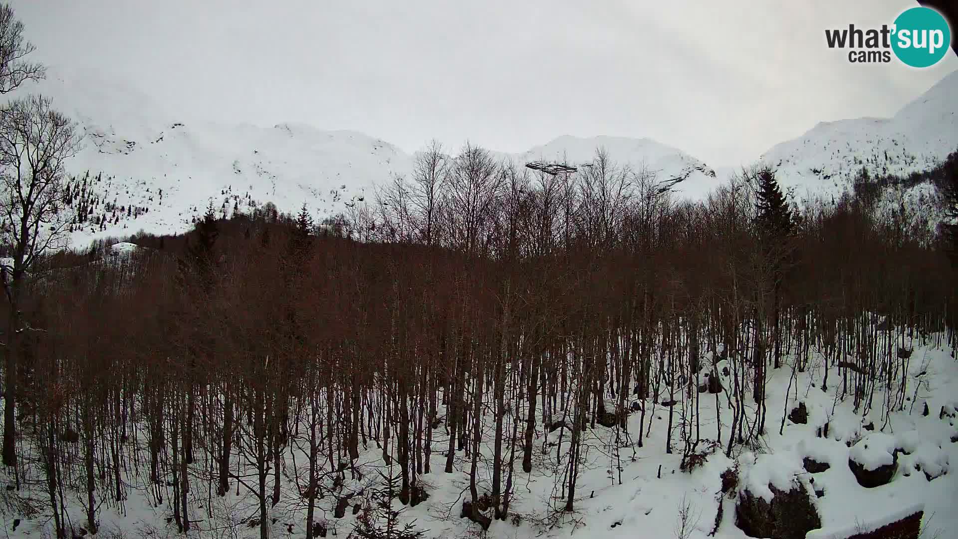 Webcam PLANINA RAZOR (1315) | Blick auf Vogel und Globoko