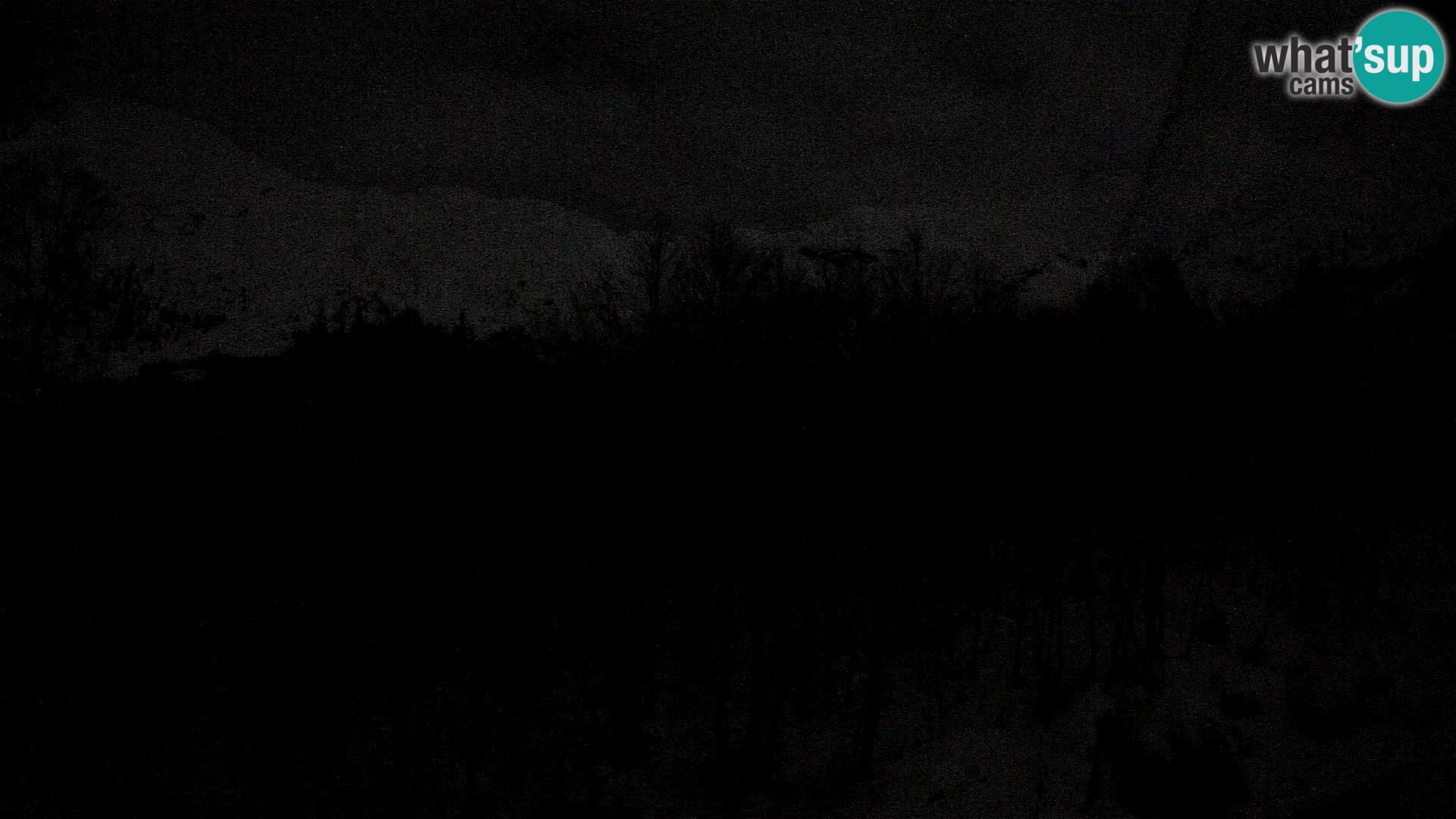 Webcam PLANINA RAZOR (1315) | Blick auf Vogel und Globoko