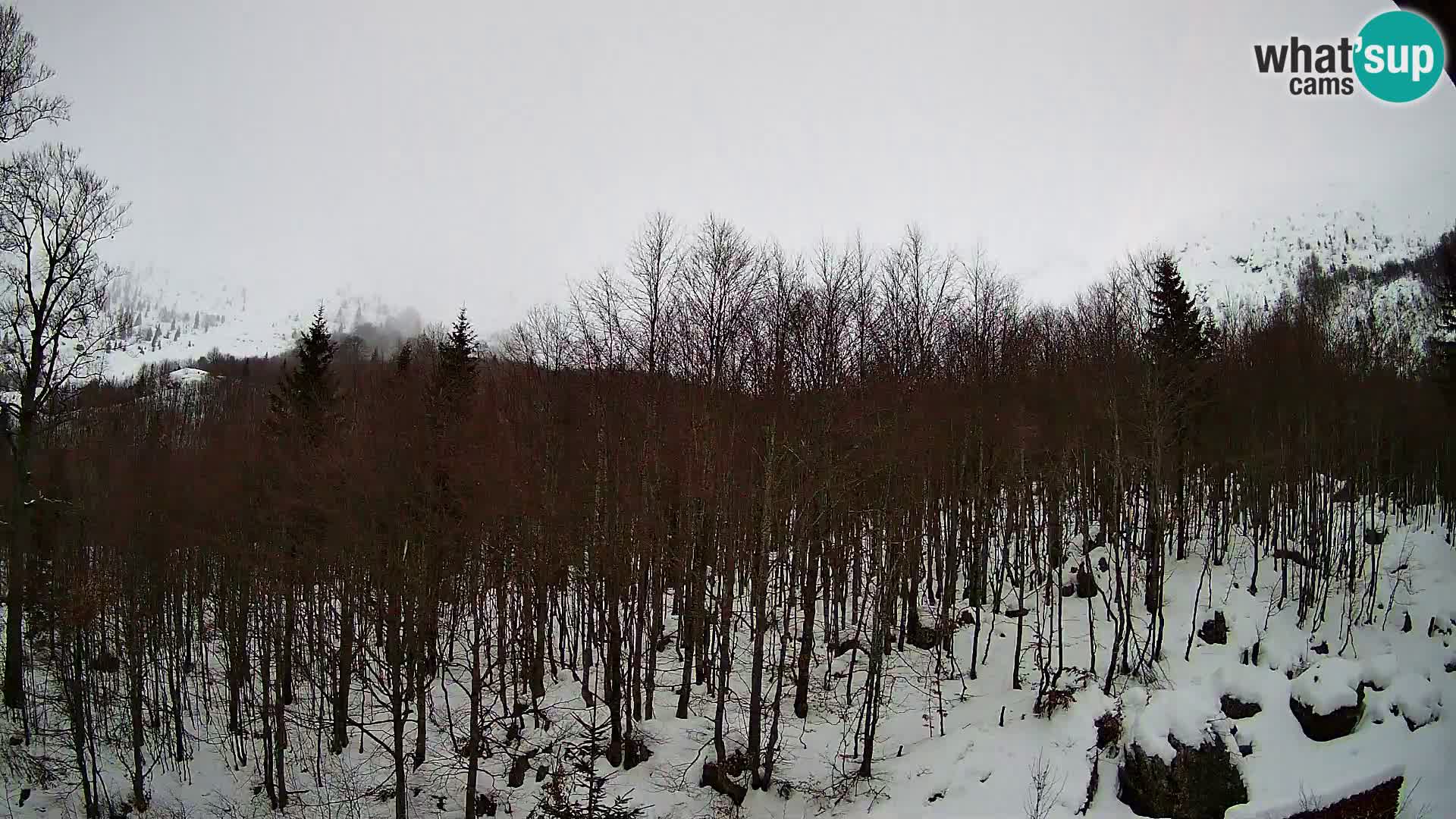 PLANINA RAZOR webcam (1315) | view to Vogel and Globoko