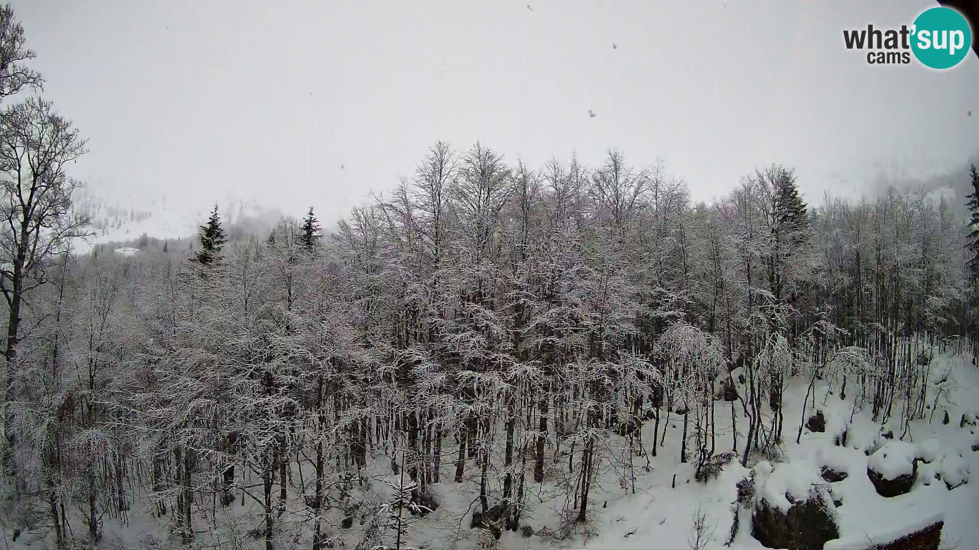 Livecam PLANINA RAZOR (1315) | vue sur Vogel et Globoko