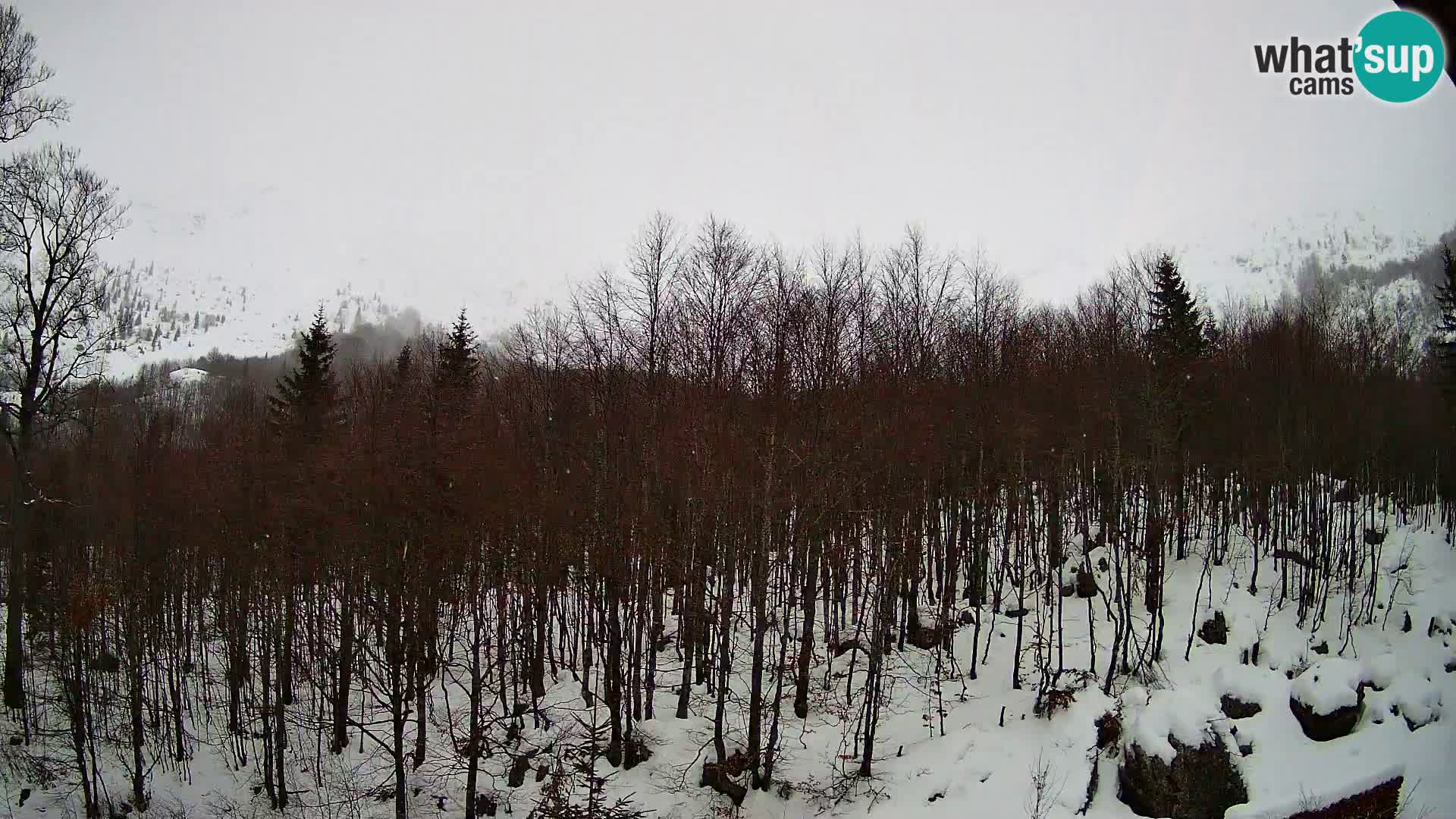 Livecam PLANINA RAZOR (1315) | vue sur Vogel et Globoko