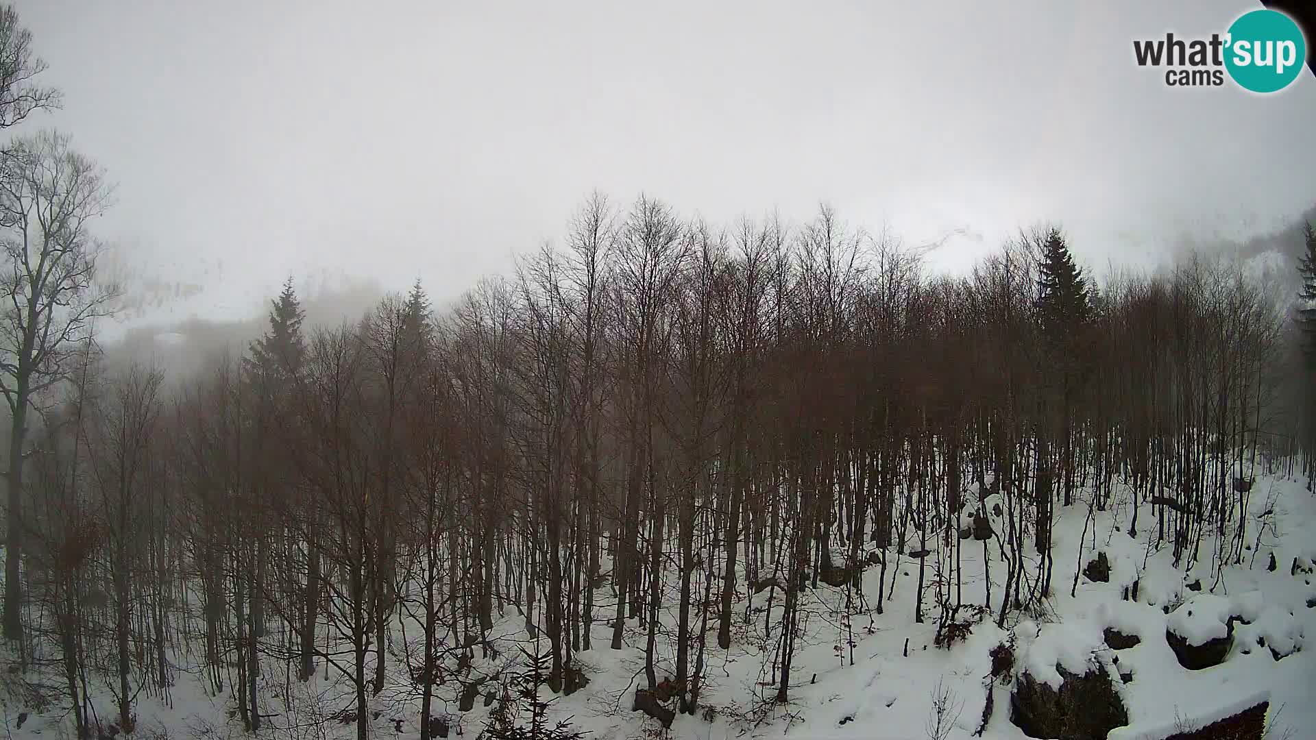 PLANINA RAZOR webcam (1315) | view to Vogel and Globoko