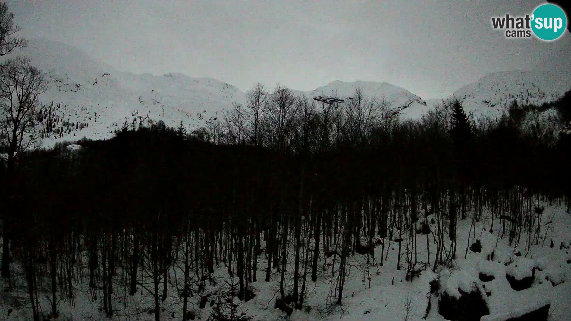 Livecam PLANINA RAZOR (1315) | vue sur Vogel et Globoko