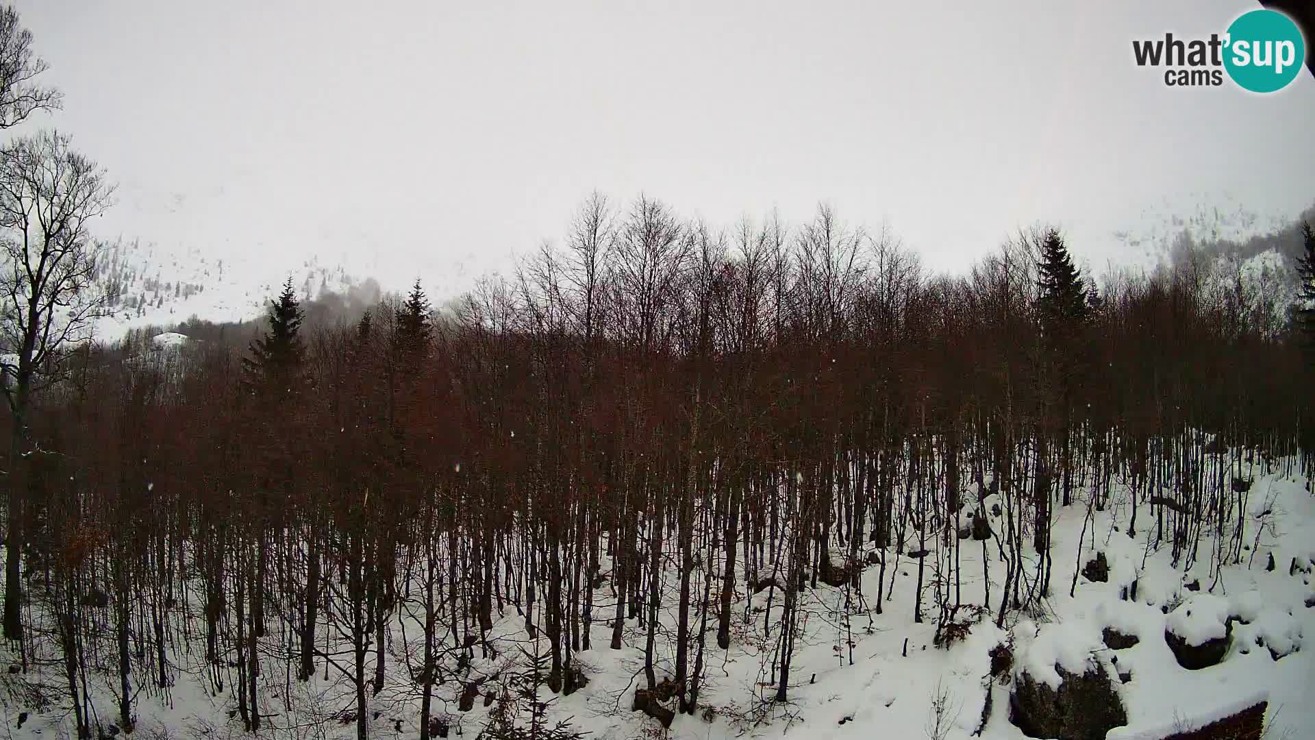 PLANINA RAZOR Live Cam (1315) | vista su Vogel e Globoko