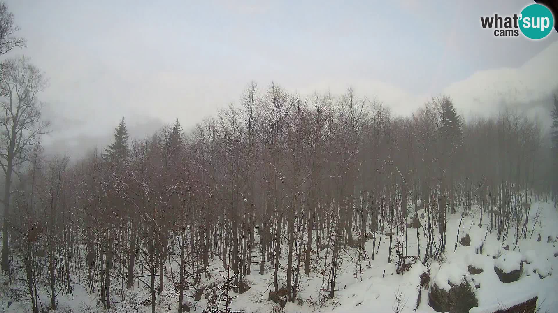 PLANINA RAZOR Live Cam (1315) | vista su Vogel e Globoko