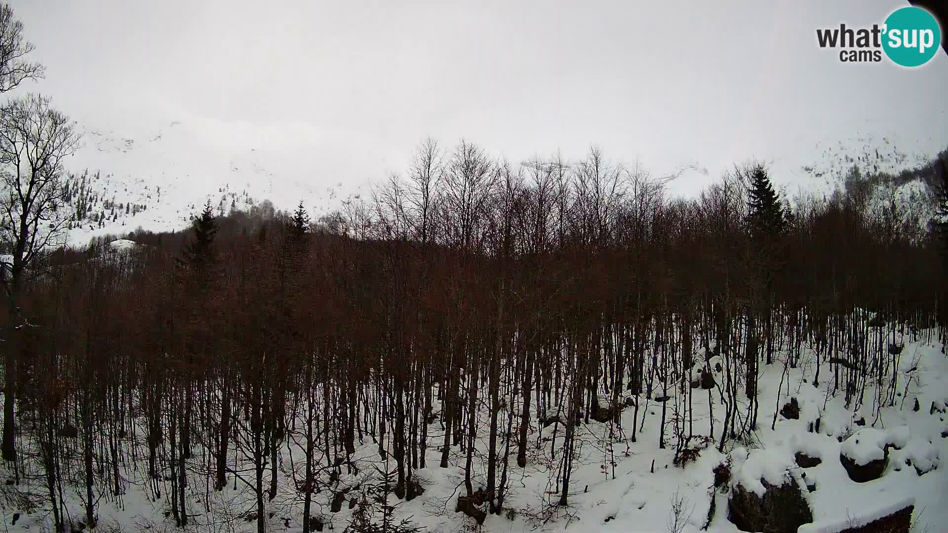 PLANINA RAZOR webcam (1315) | view to Vogel and Globoko