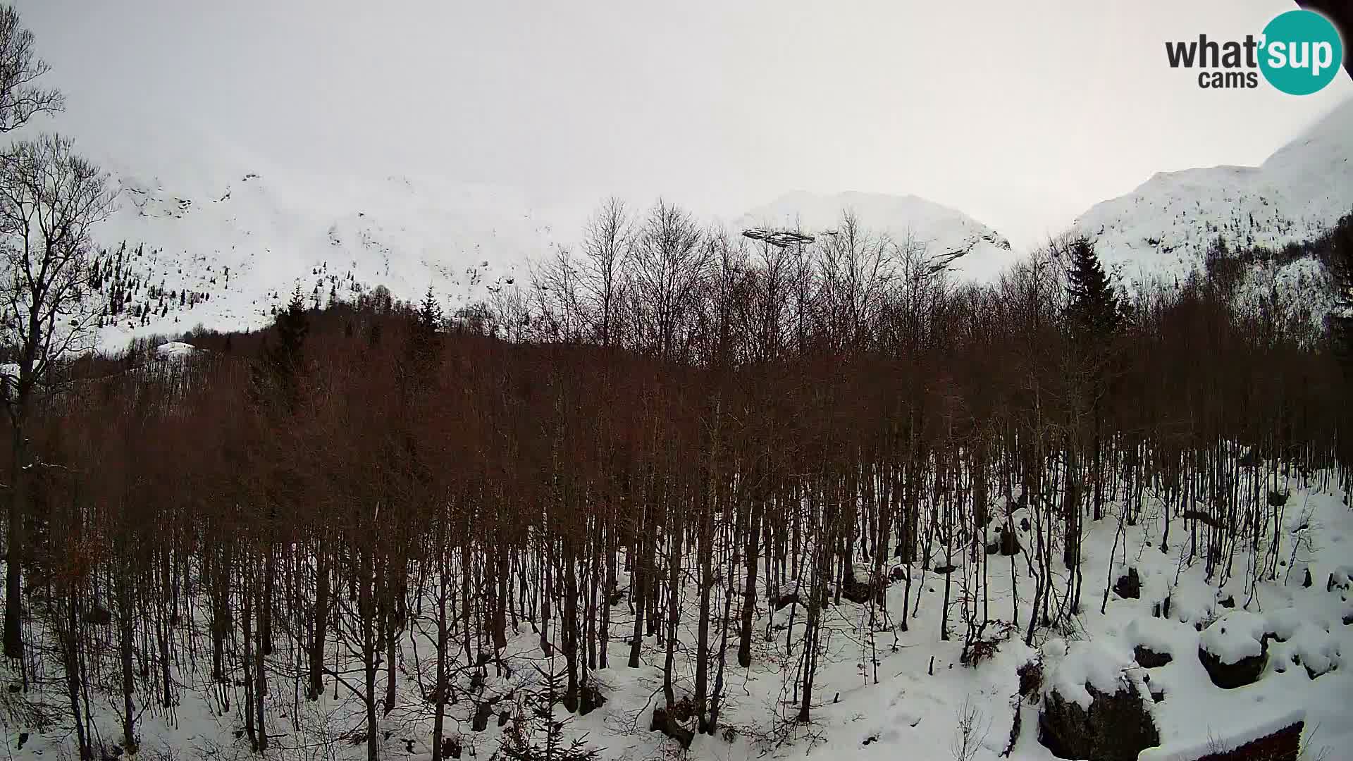 Webcam PLANINA RAZOR (1315) | Blick auf Vogel und Globoko