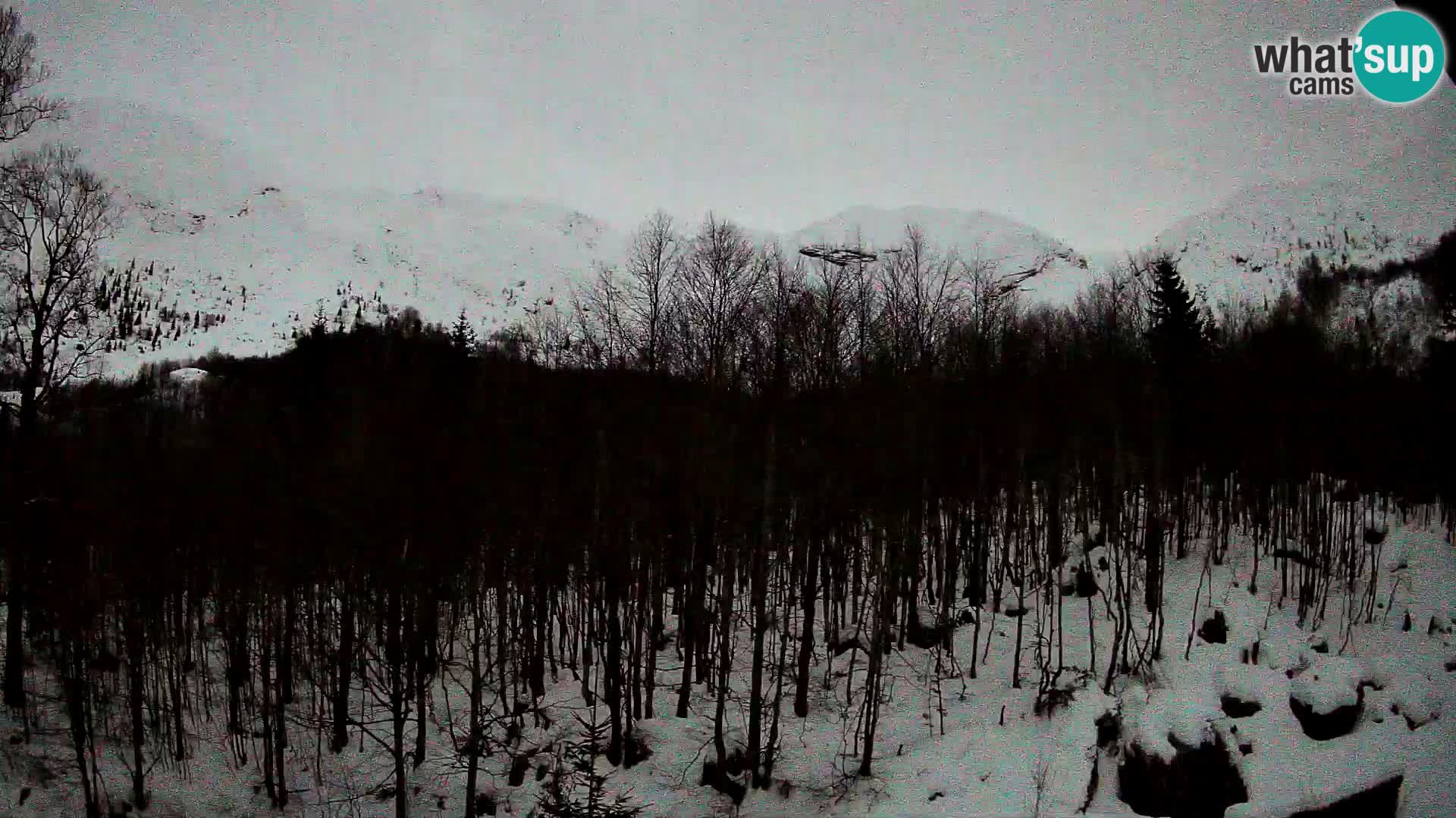 PLANINA RAZOR webcam (1315) | view to Vogel and Globoko