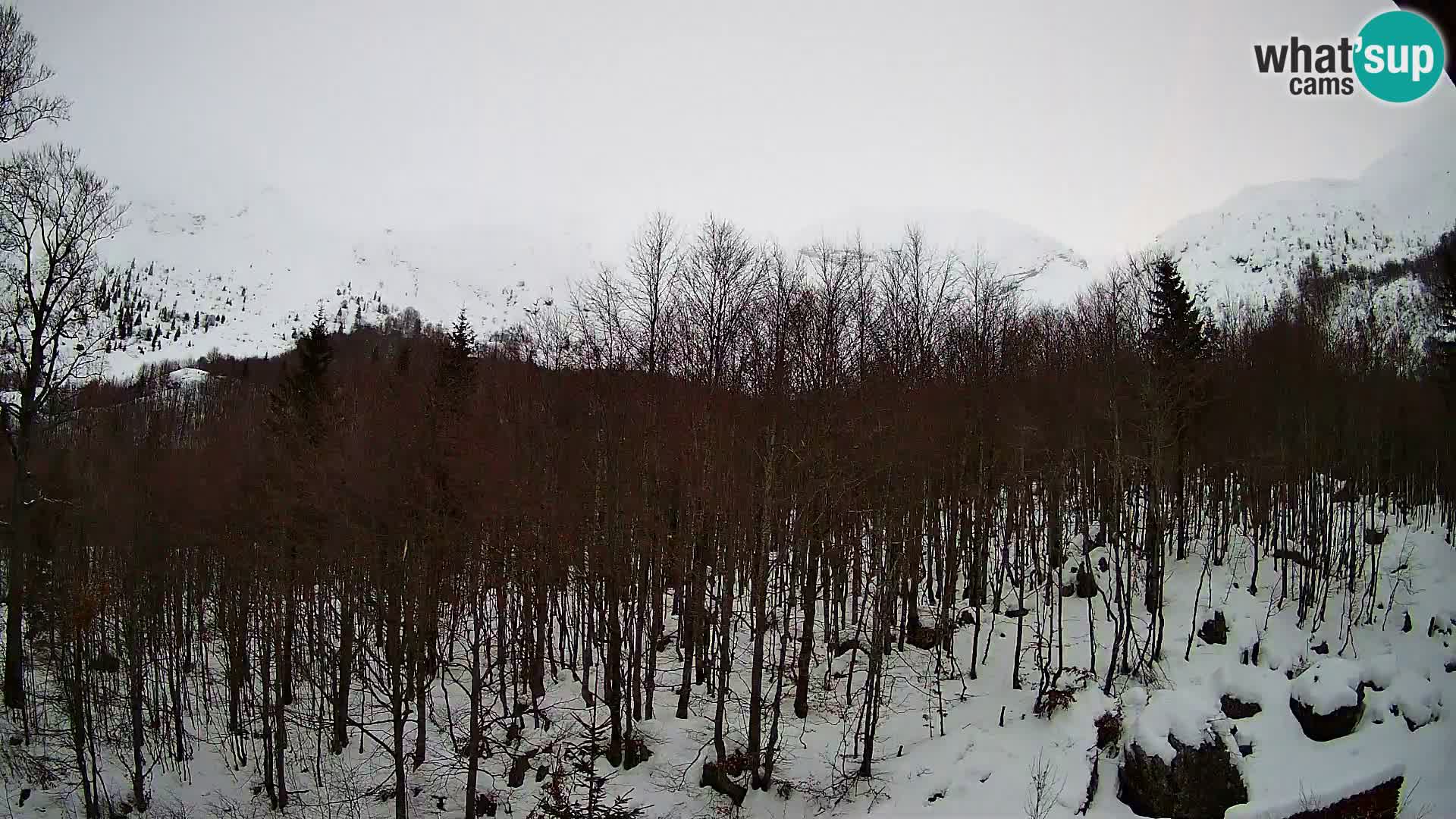 PLANINA RAZOR webcam (1315) | view to Vogel and Globoko
