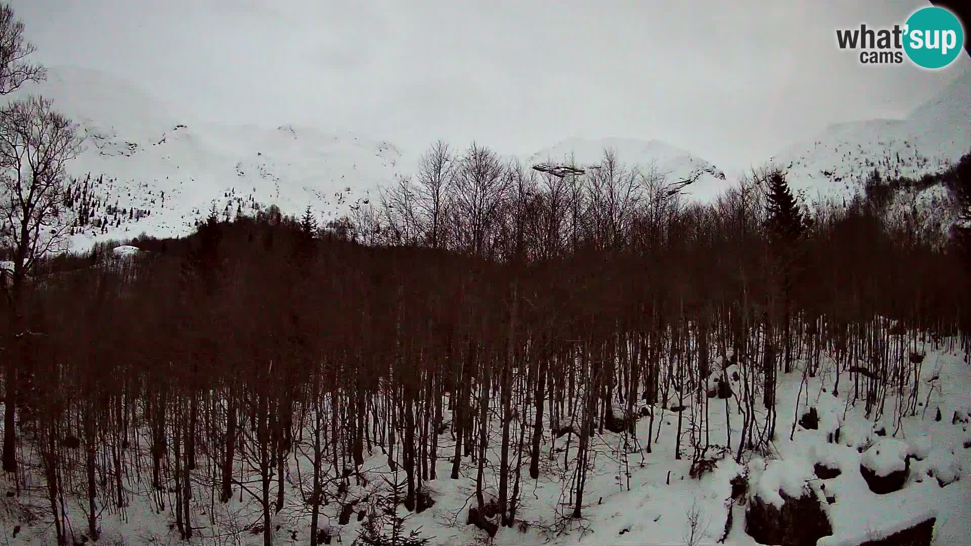 PLANINA RAZOR Live Cam (1315) | vista su Vogel e Globoko