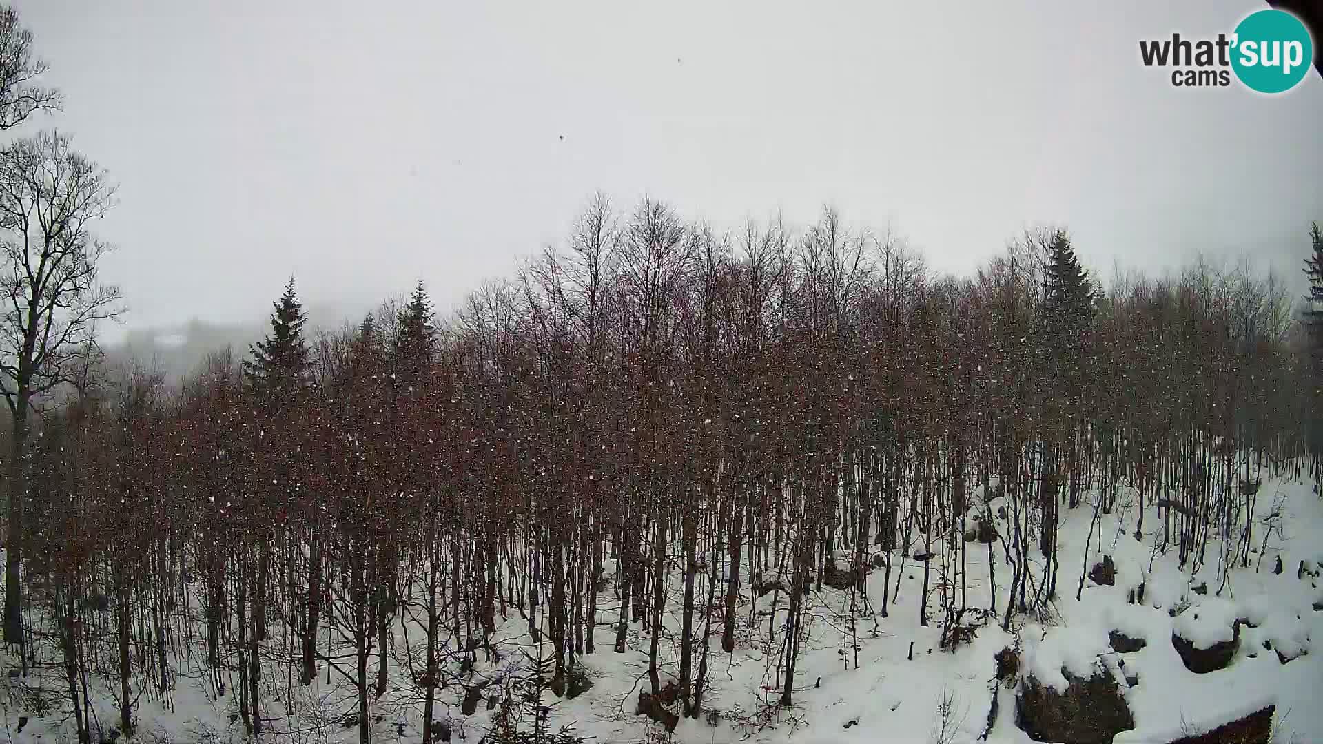 PLANINA RAZOR Live Cam (1315) | vista su Vogel e Globoko