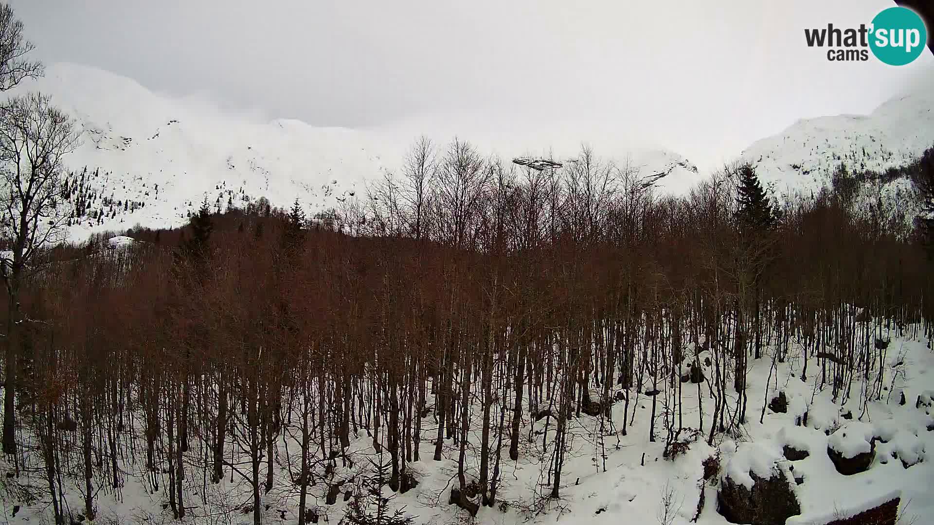 PLANINA RAZOR Live Cam (1315) | vista su Vogel e Globoko