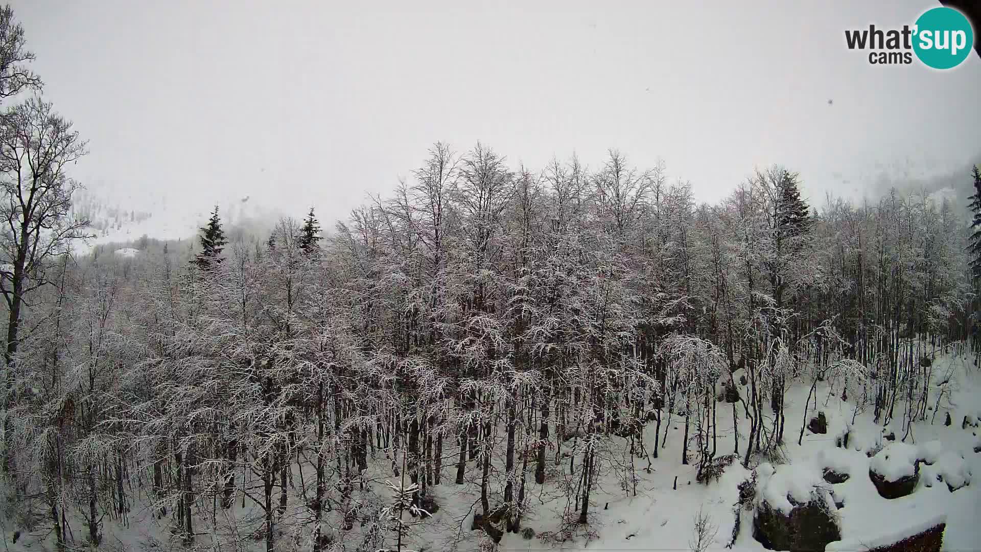 PLANINA RAZOR kamera (1315) | pogled na Vogel in Globoko