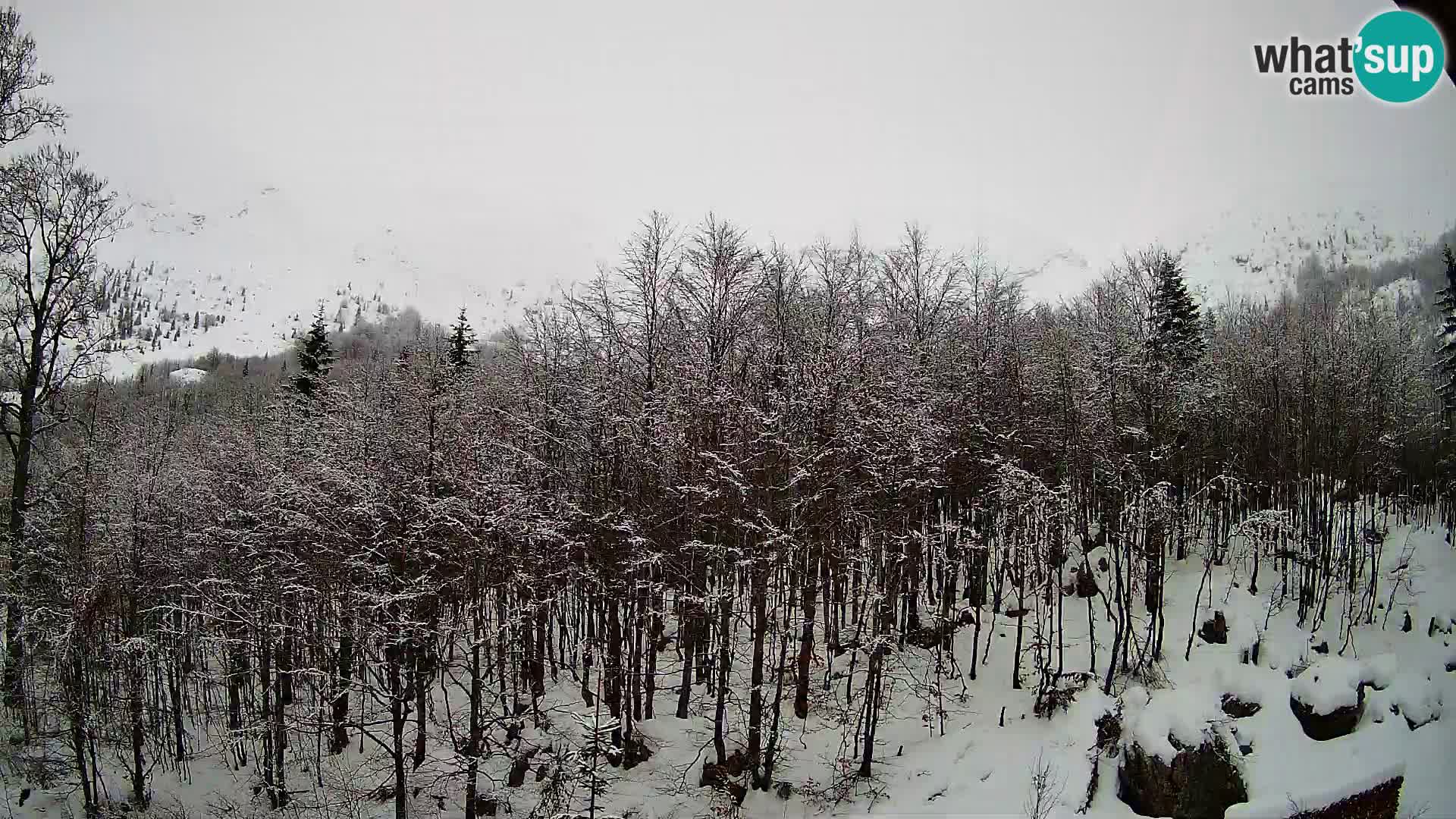 PLANINA RAZOR webcam (1315) | view to Vogel and Globoko