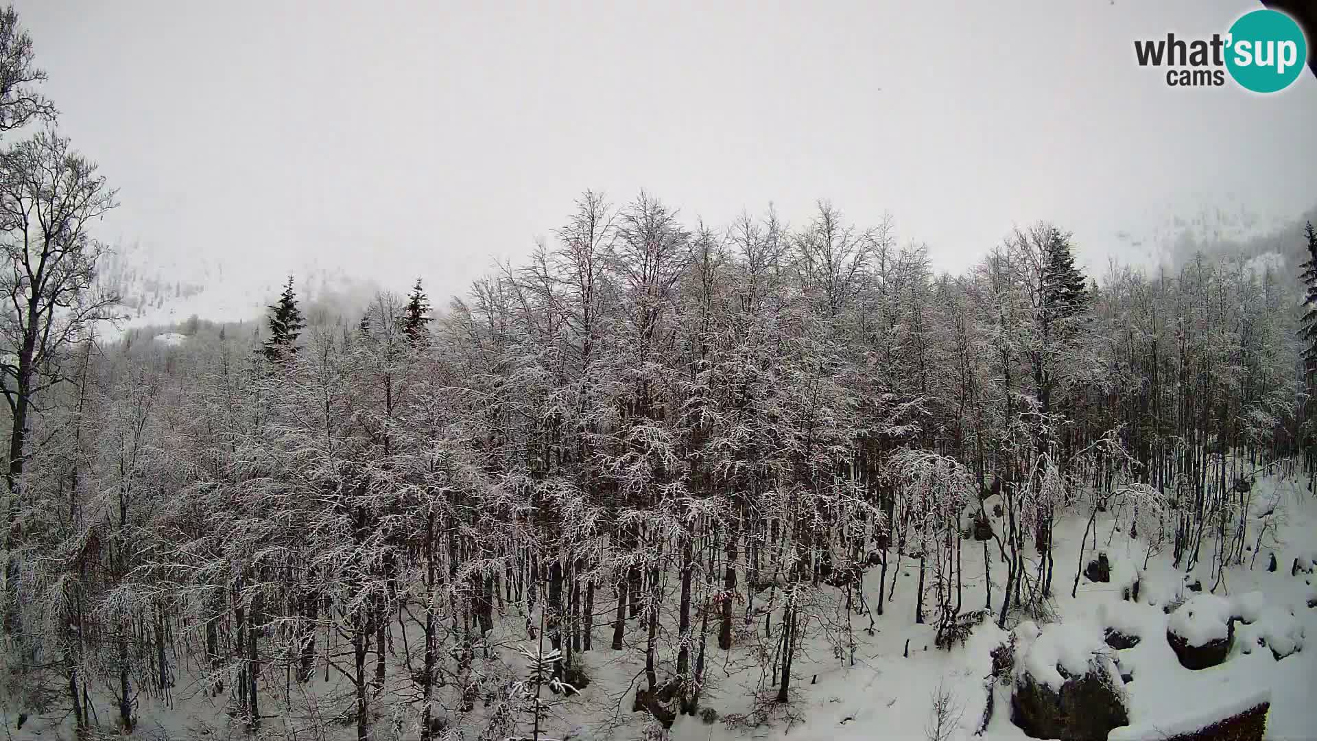 PLANINA RAZOR kamera (1315) | pogled na Vogel in Globoko