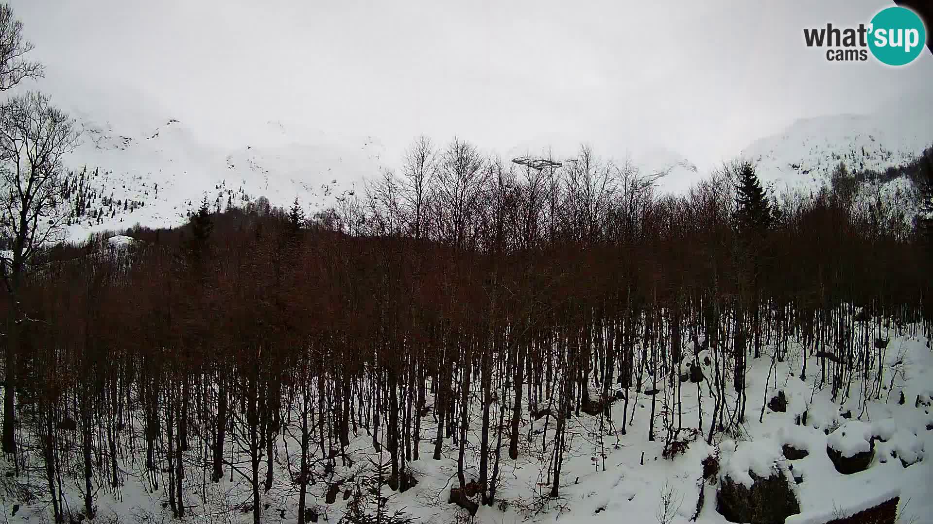 PLANINA RAZOR kamera (1315) | pogled na Vogel in Globoko