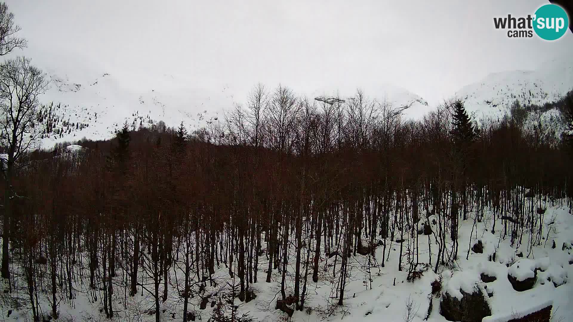 Webcam PLANINA RAZOR (1315) | Blick auf Vogel und Globoko