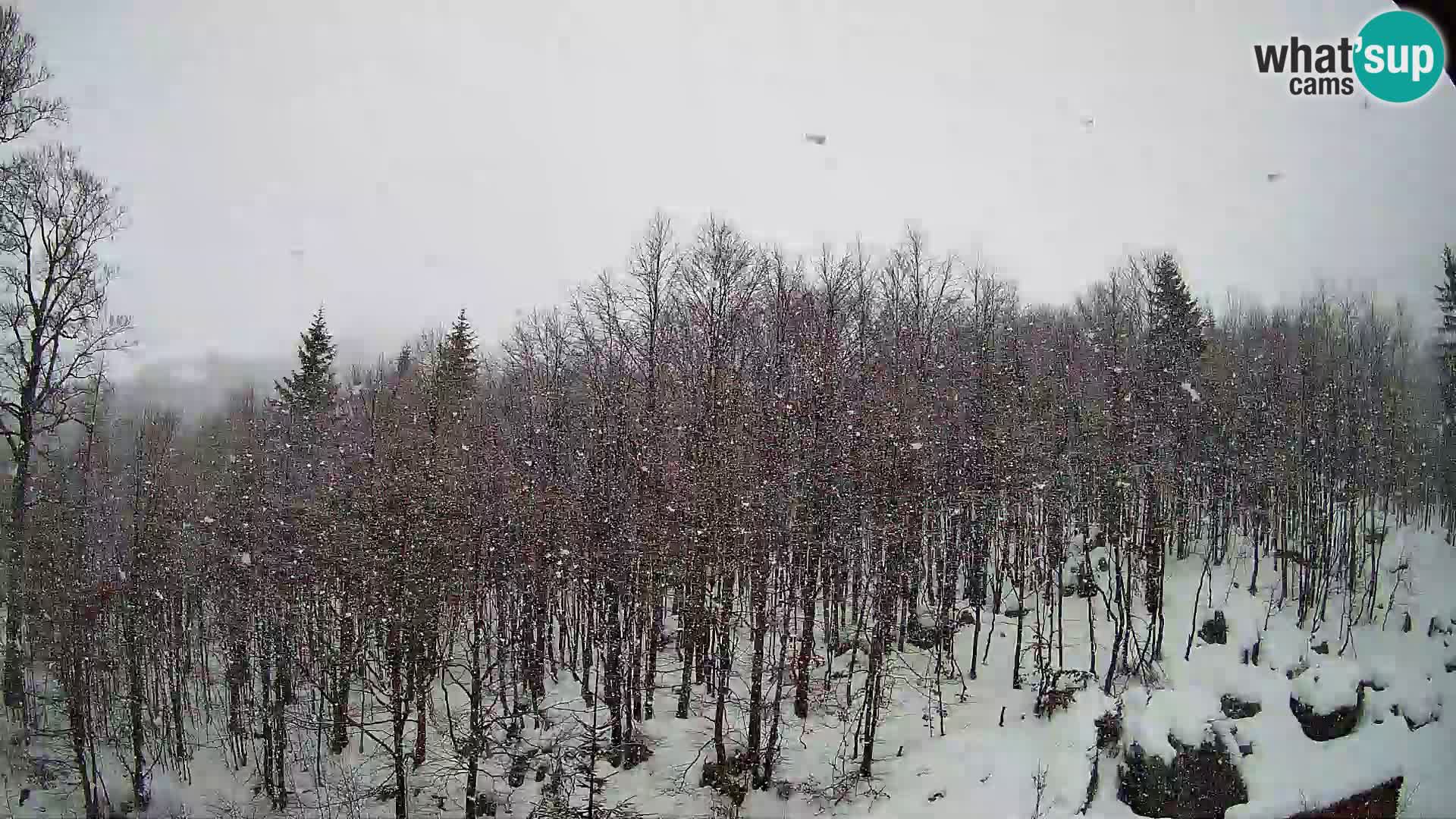 Webcam PLANINA RAZOR (1315) | Blick auf Vogel und Globoko
