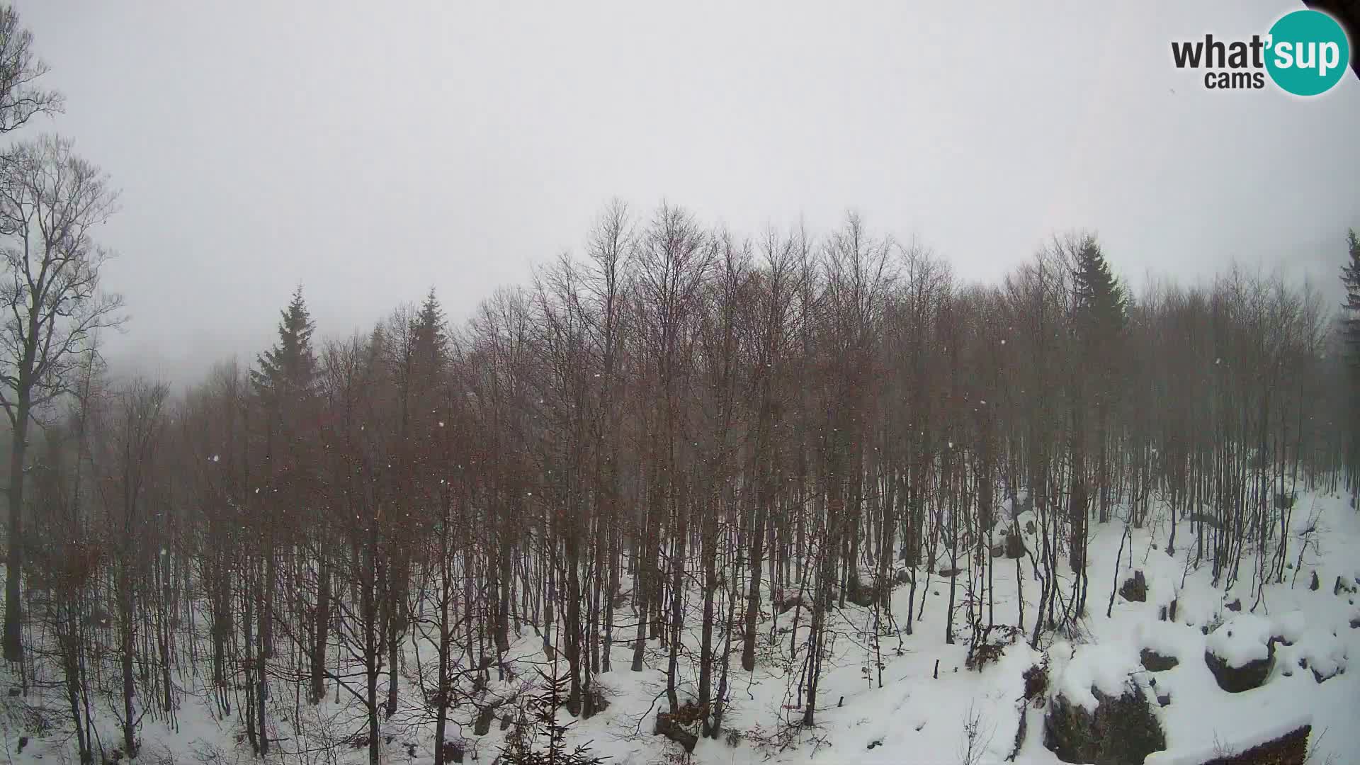PLANINA RAZOR Live Cam (1315) | vista su Vogel e Globoko