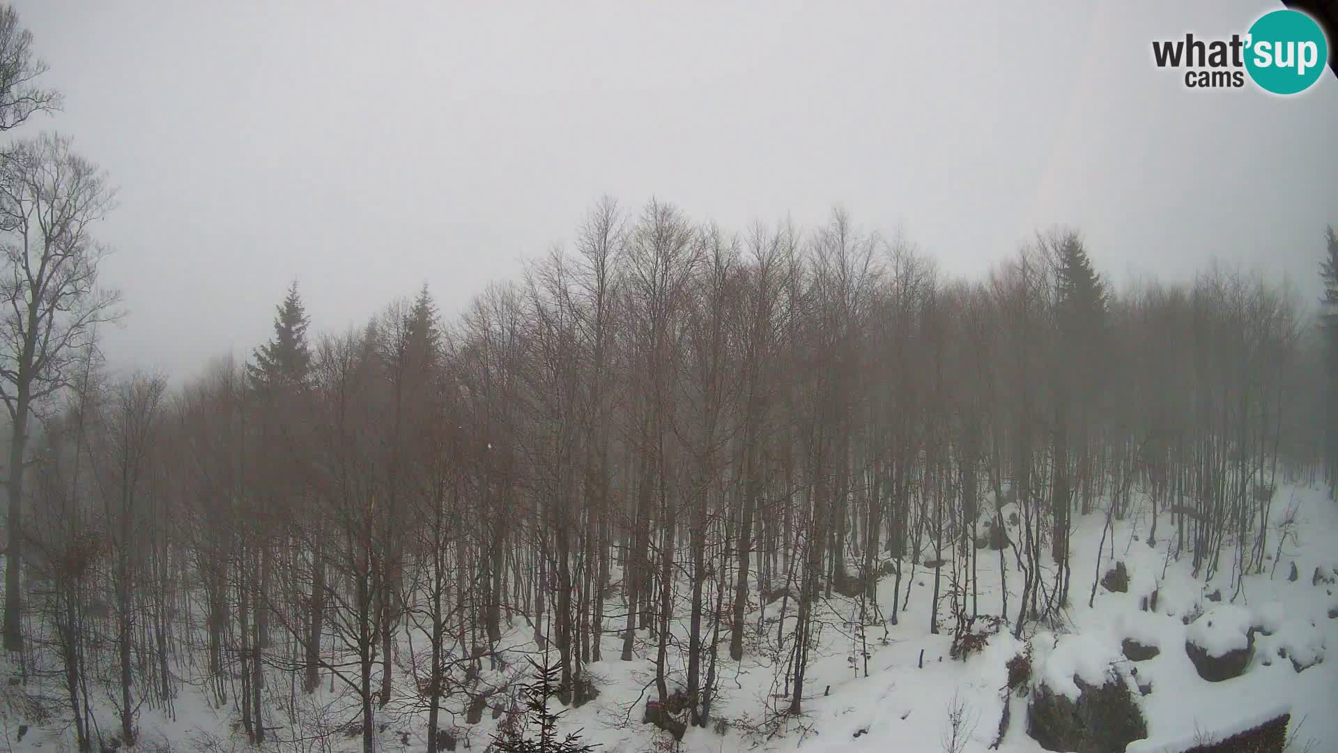 PLANINA RAZOR webcam (1315) | view to Vogel and Globoko