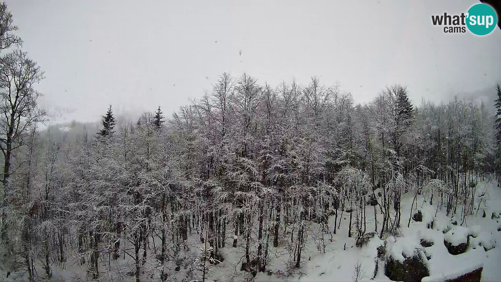 PLANINA RAZOR kamera (1315) | pogled na Vogel in Globoko