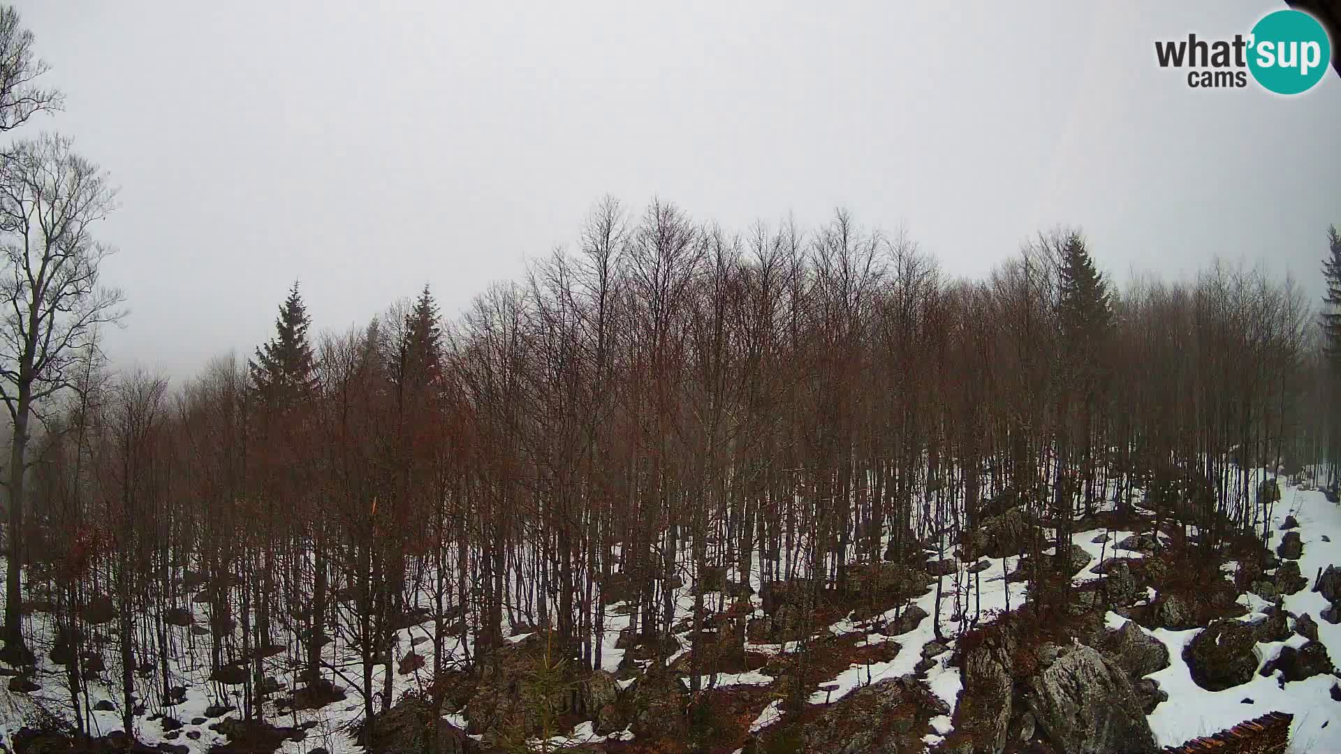 PLANINA RAZOR Live Cam (1315) | vista su Vogel e Globoko