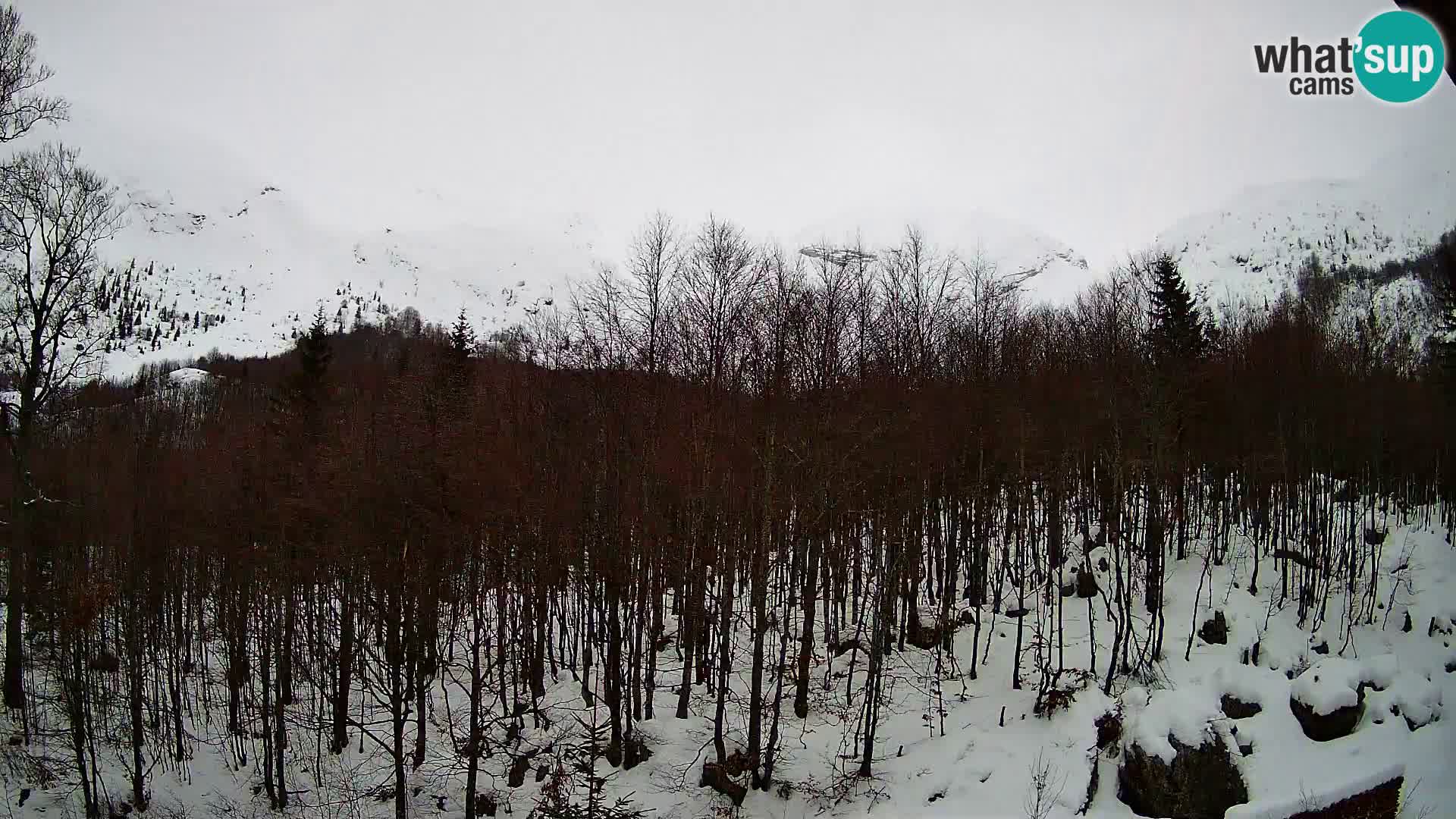 PLANINA RAZOR web kamera (1315) | pogled na Vogel i Globoko