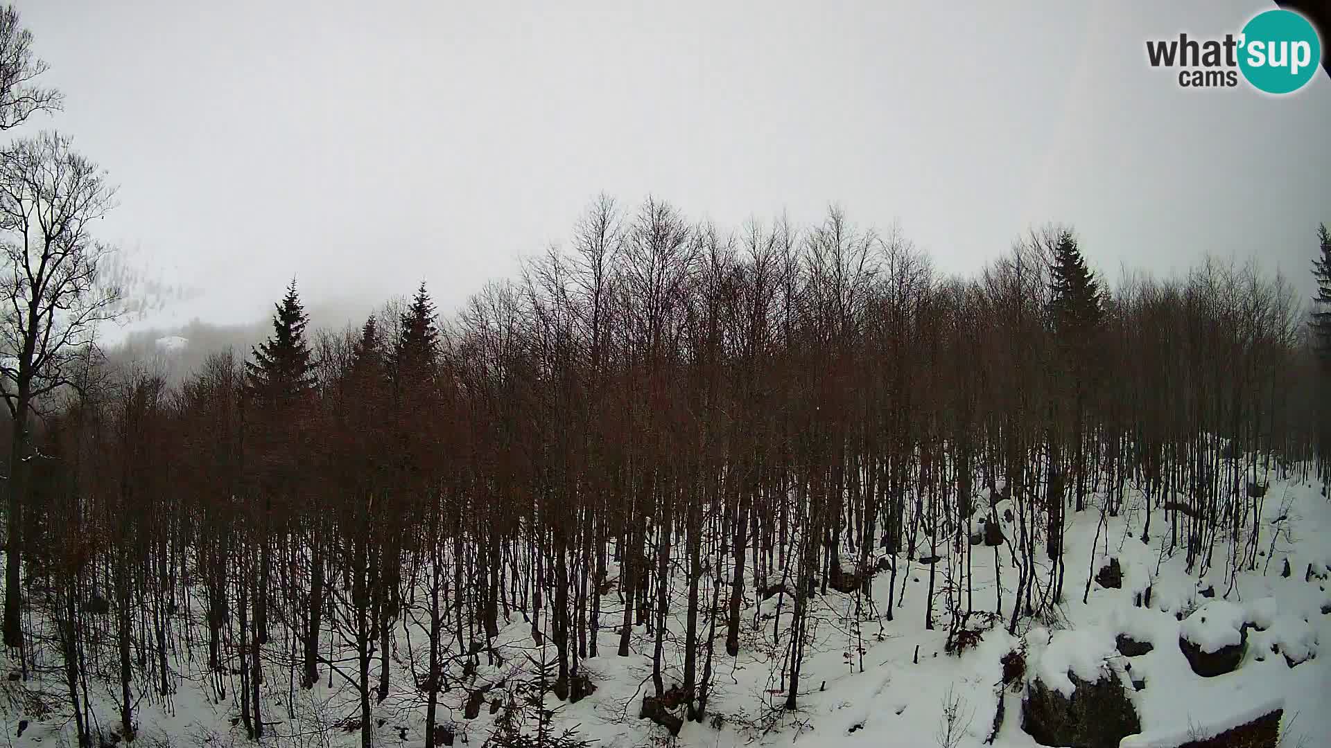 PLANINA RAZOR webcam (1315) | view to Vogel and Globoko