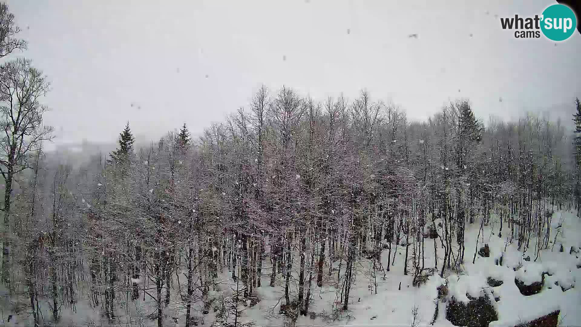 PLANINA RAZOR web kamera (1315) | pogled na Vogel i Globoko