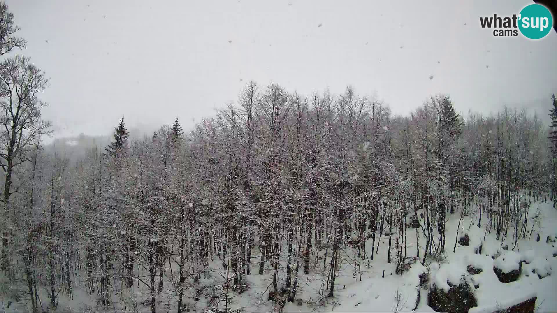 PLANINA RAZOR Live Cam (1315) | vista su Vogel e Globoko