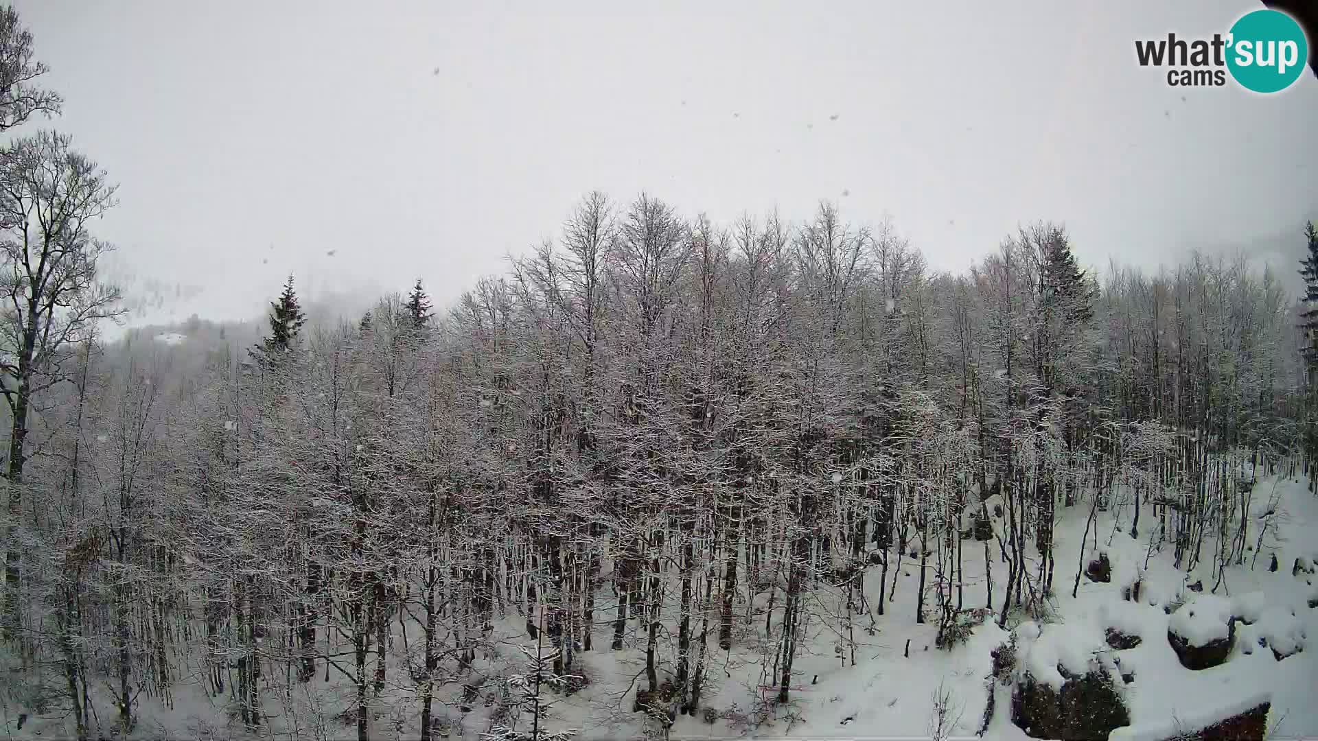 Cámara web PLANINA RAZOR (1315) | vista a Vogel y Globoko