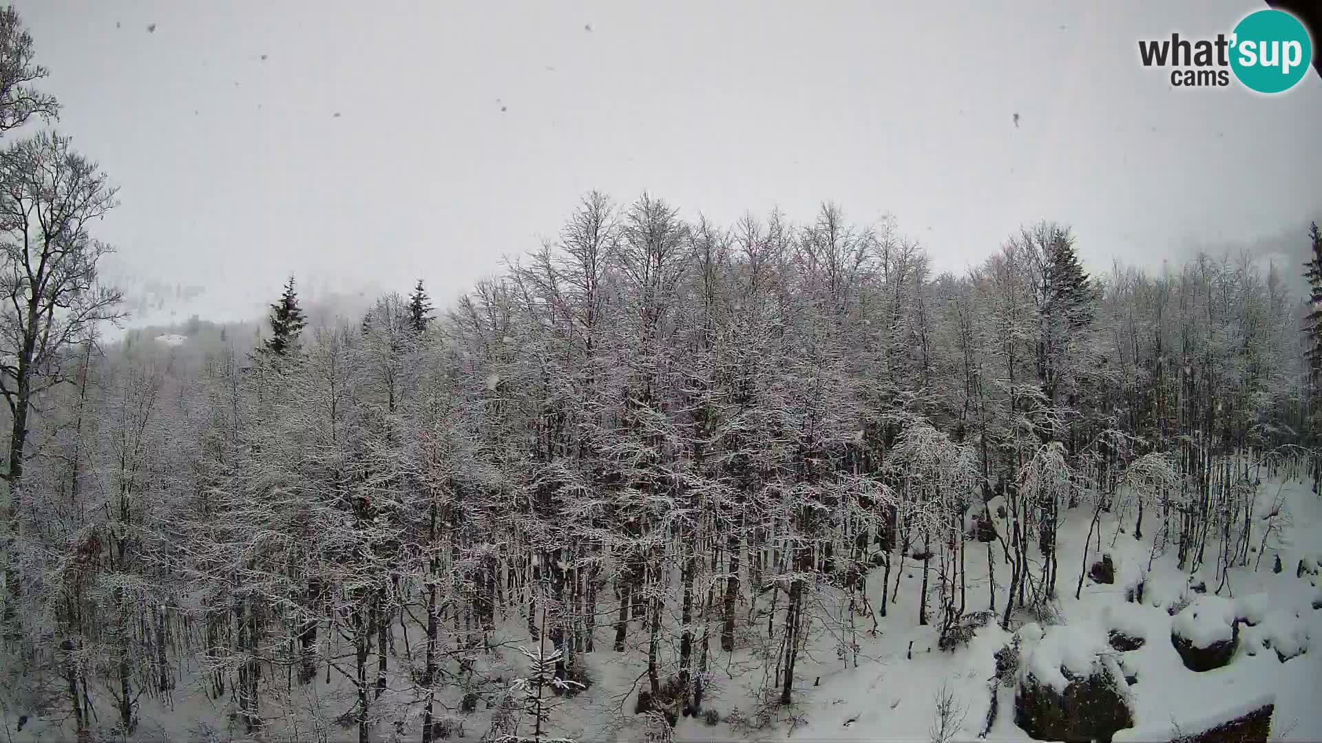 PLANINA RAZOR kamera (1315) | pogled na Vogel in Globoko