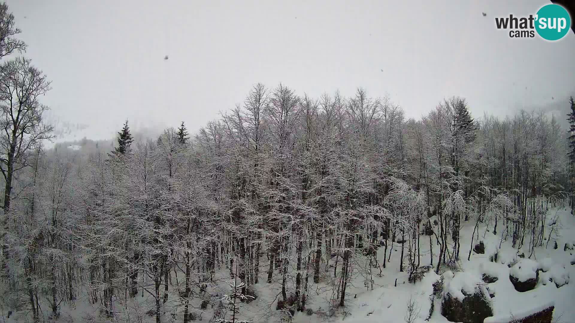 PLANINA RAZOR kamera (1315) | pogled na Vogel in Globoko