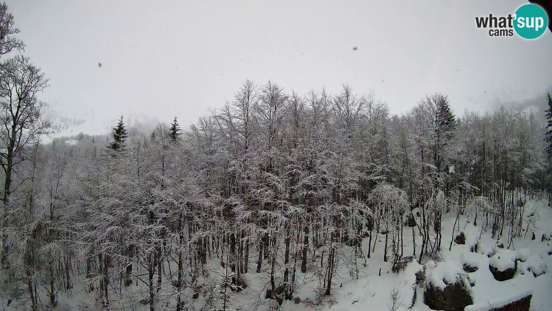 PLANINA RAZOR web kamera (1315) | pogled na Vogel i Globoko
