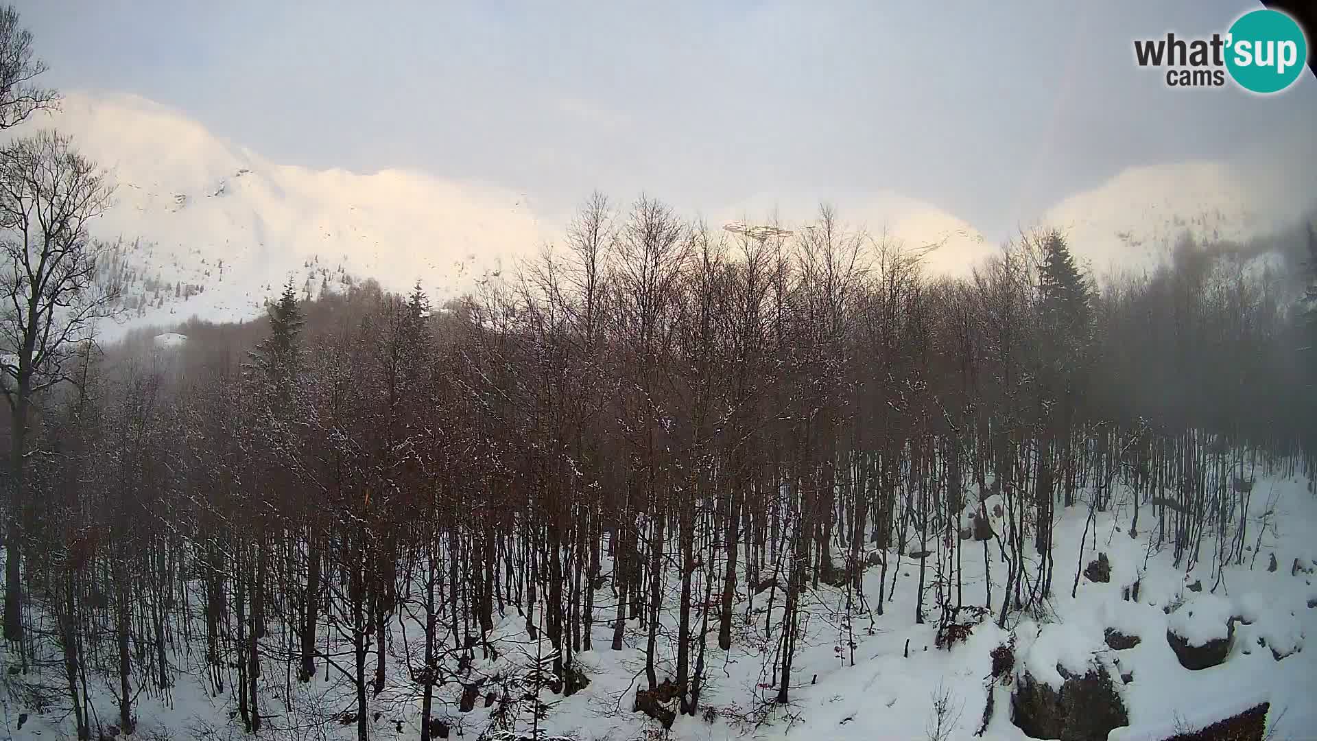 PLANINA RAZOR Live Cam (1315) | vista su Vogel e Globoko