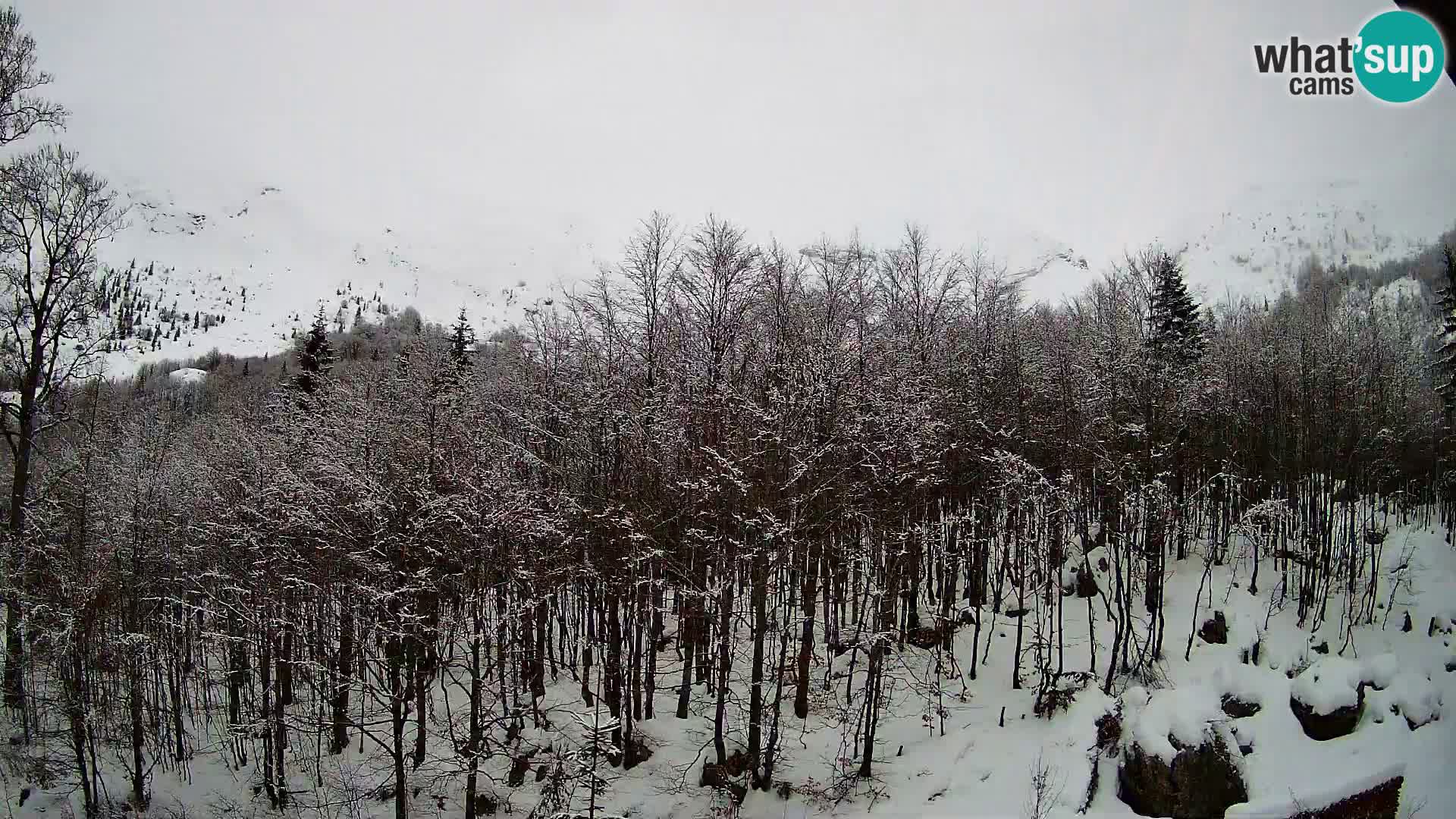 Webcam PLANINA RAZOR (1315) | Blick auf Vogel und Globoko