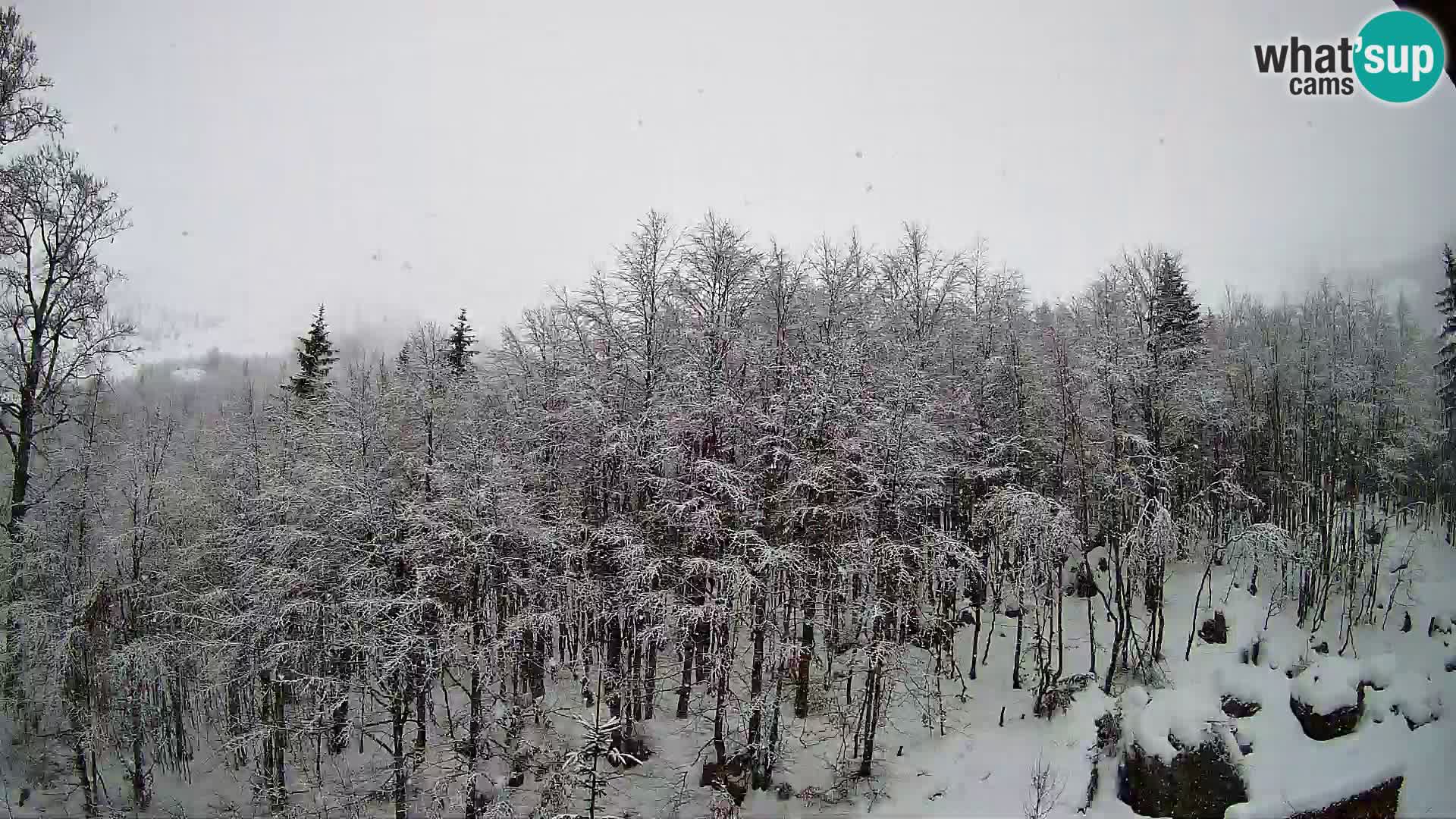 PLANINA RAZOR kamera (1315) | pogled na Vogel in Globoko