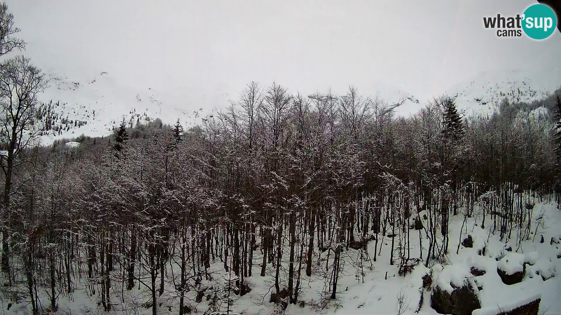 PLANINA RAZOR kamera (1315) | pogled na Vogel in Globoko