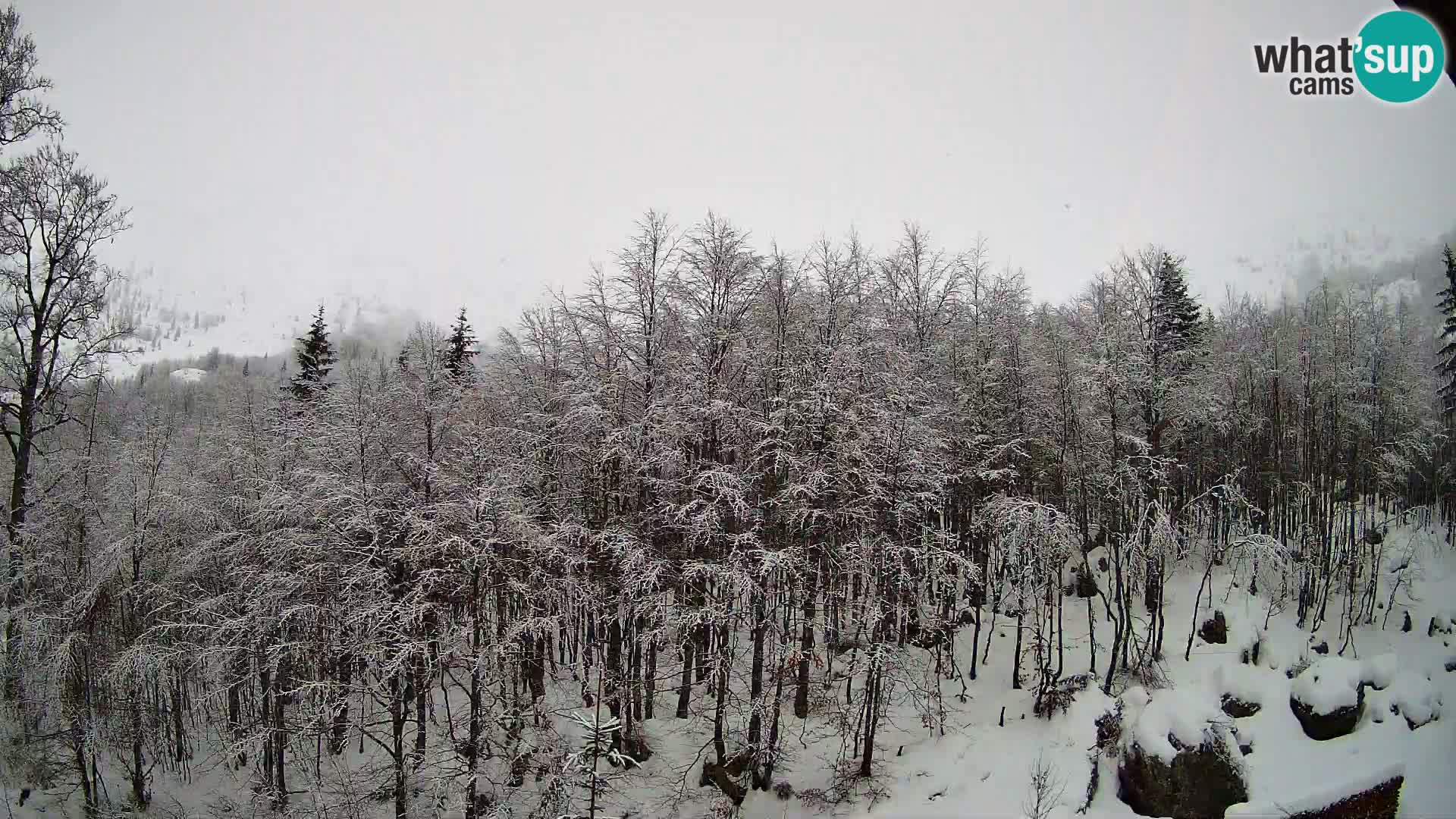 PLANINA RAZOR webcam (1315) | view to Vogel and Globoko