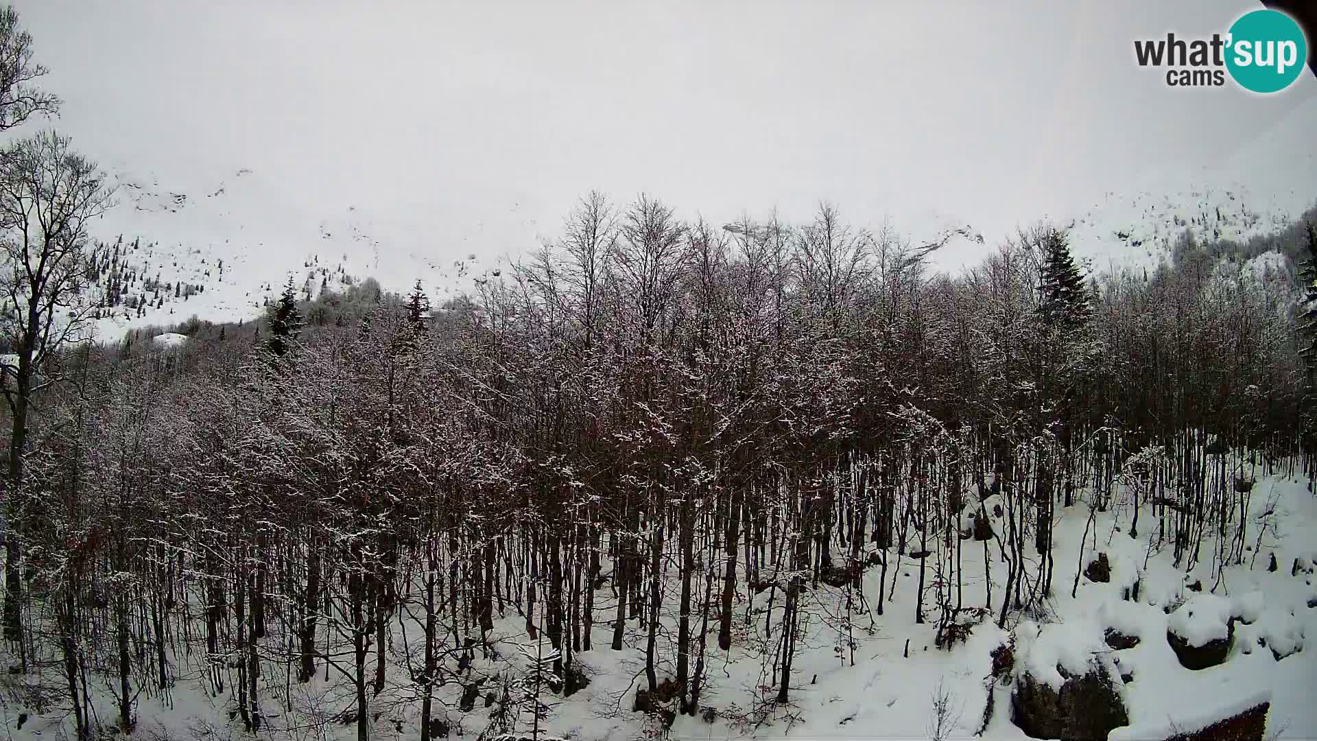 PLANINA RAZOR kamera (1315) | pogled na Vogel in Globoko