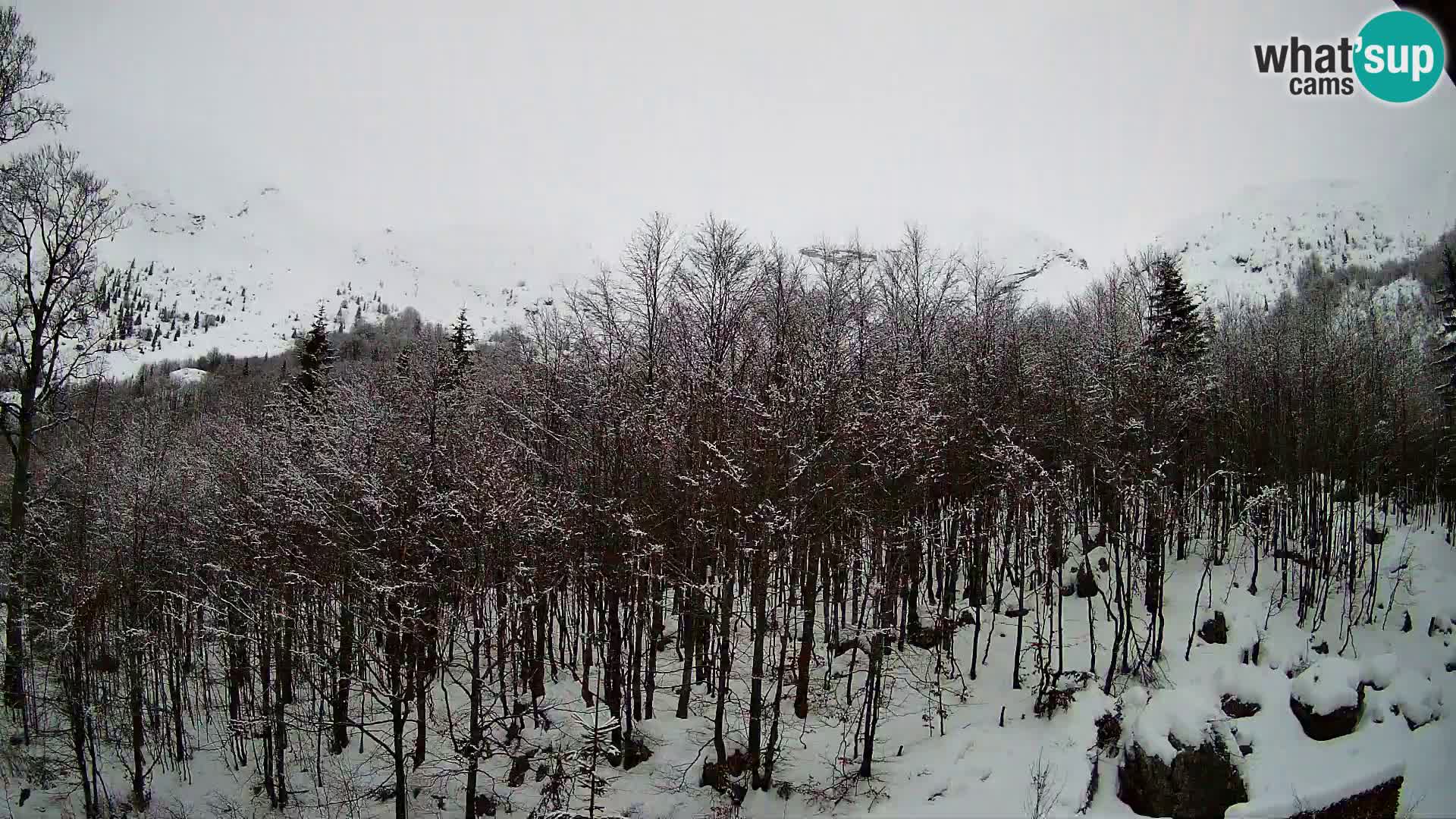 Livecam PLANINA RAZOR (1315) | vue sur Vogel et Globoko